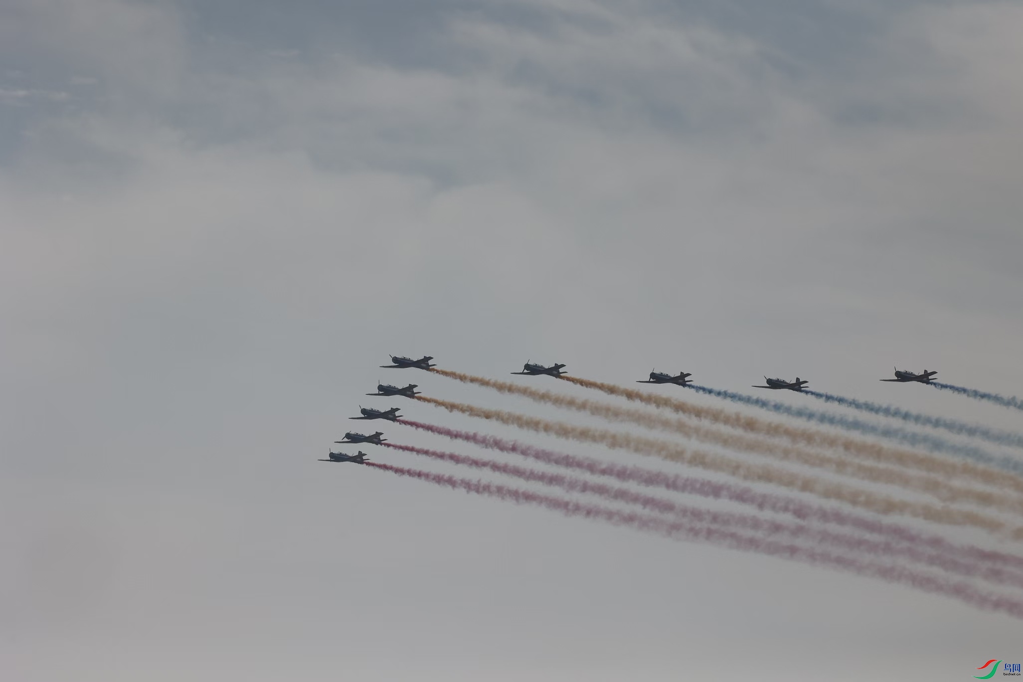e56f38763c0a92b059c172f2c2e35c98.jpg