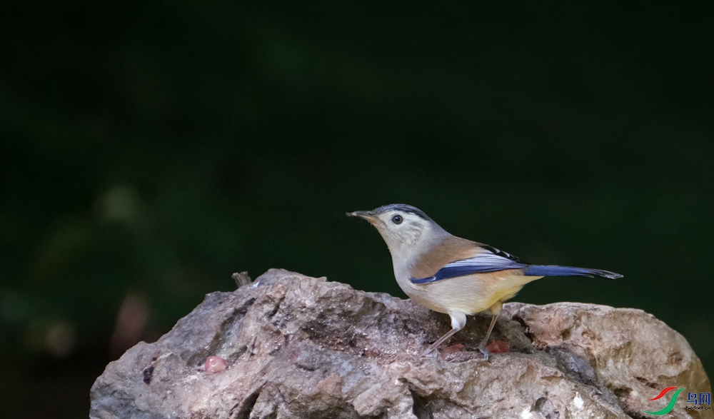 DSCF3975.1.jpg