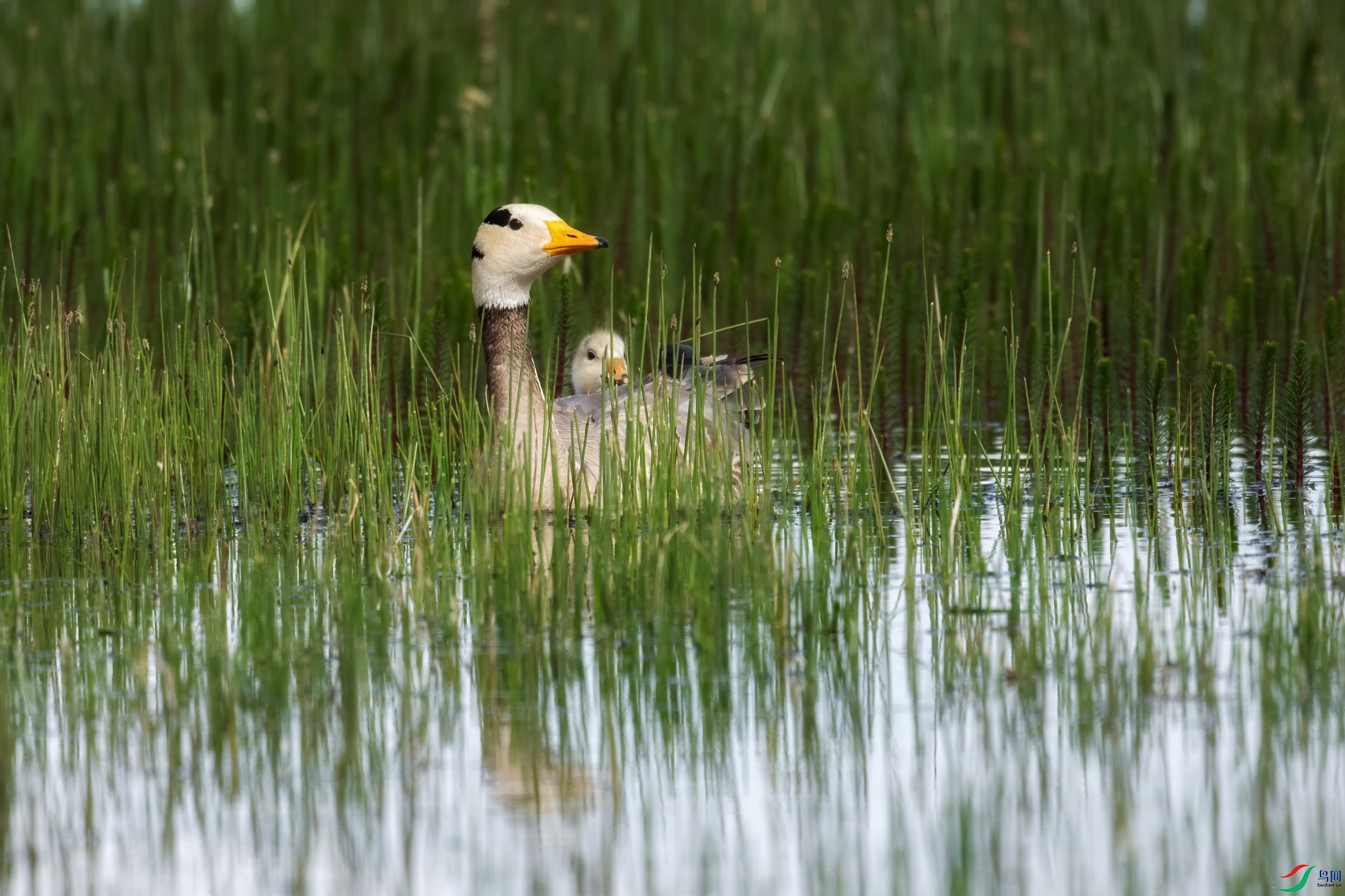_DSC3227-01.jpeg