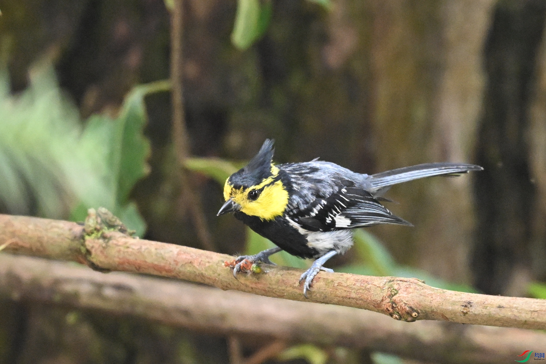 DSC_9987.JPG
