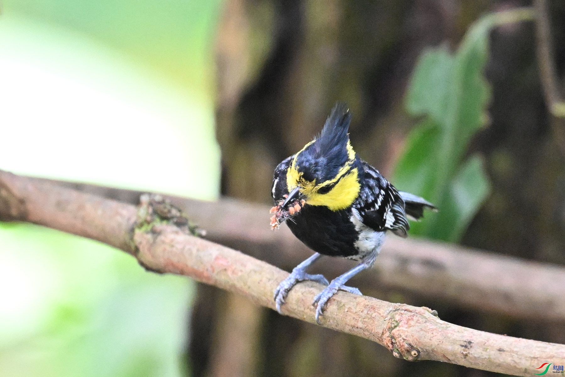 DSC_9993.JPG