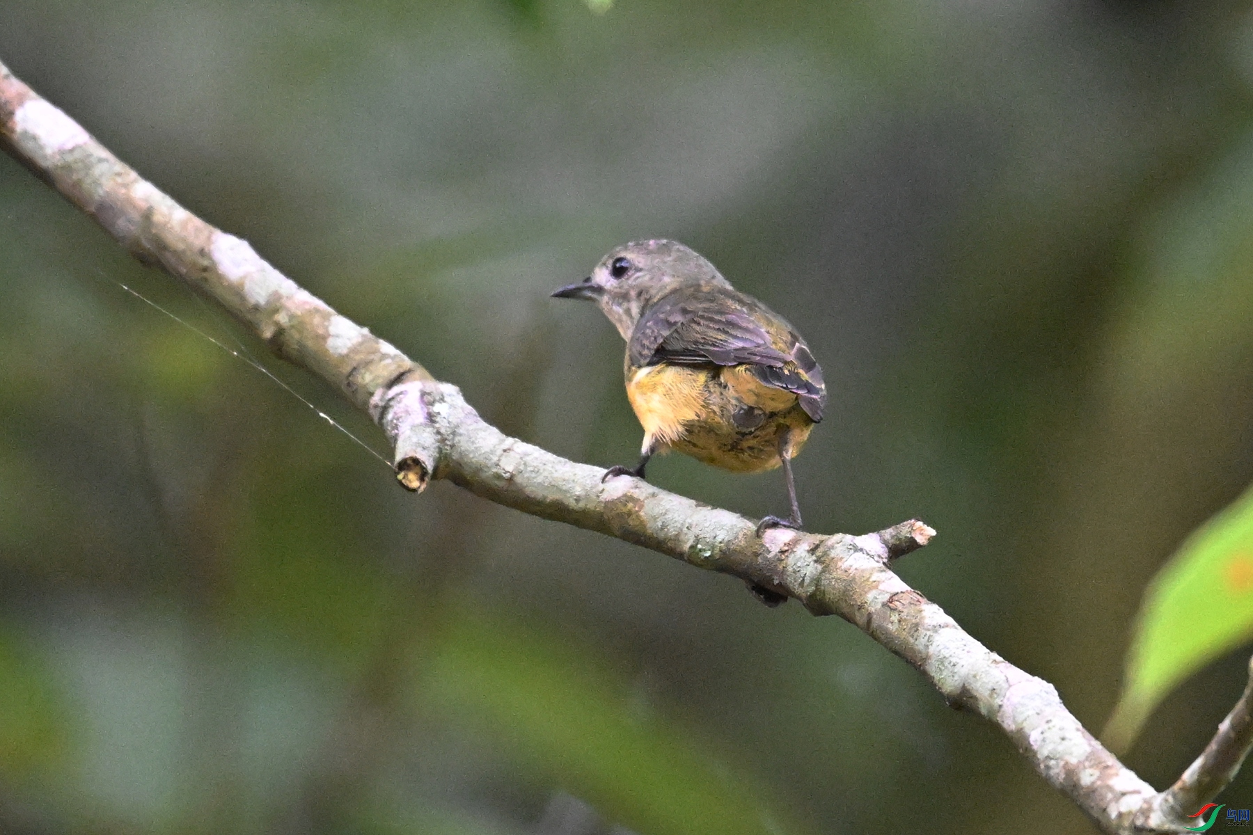 DSC_9928.JPG