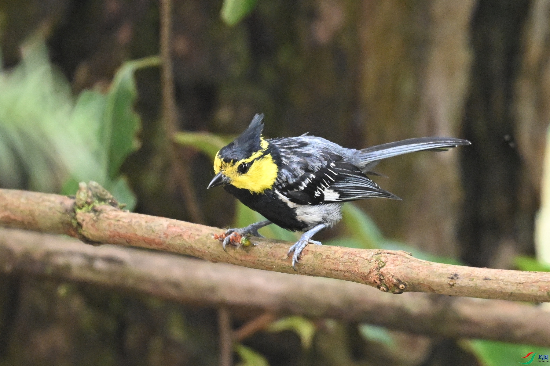 DSC_9986.JPG