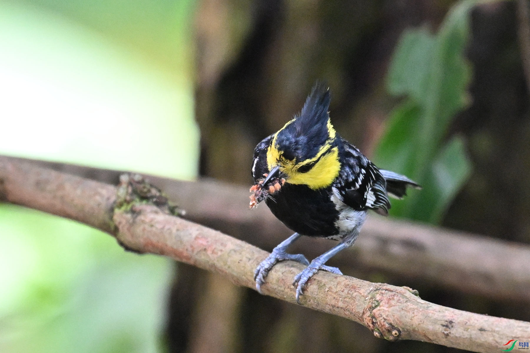 DSC_9995.JPG