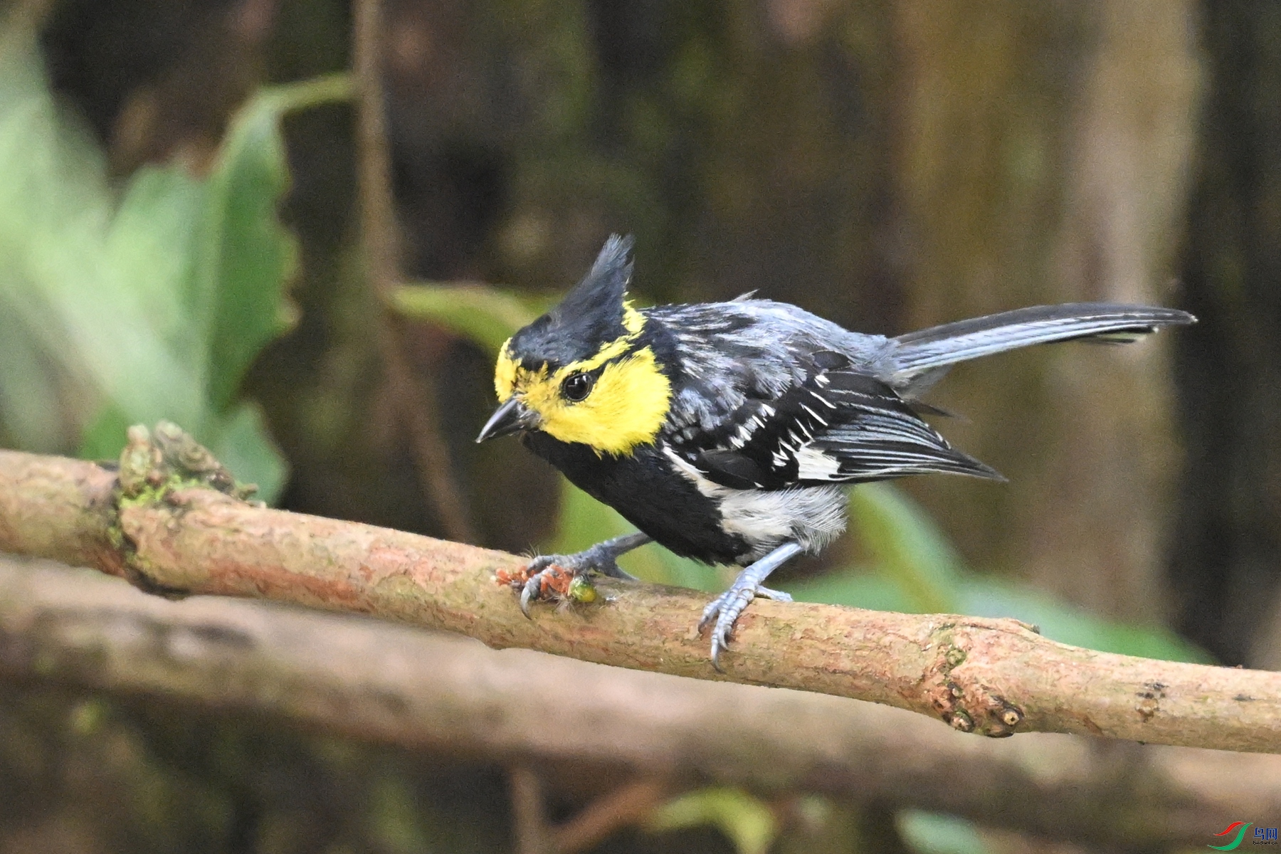 DSC_9988.JPG