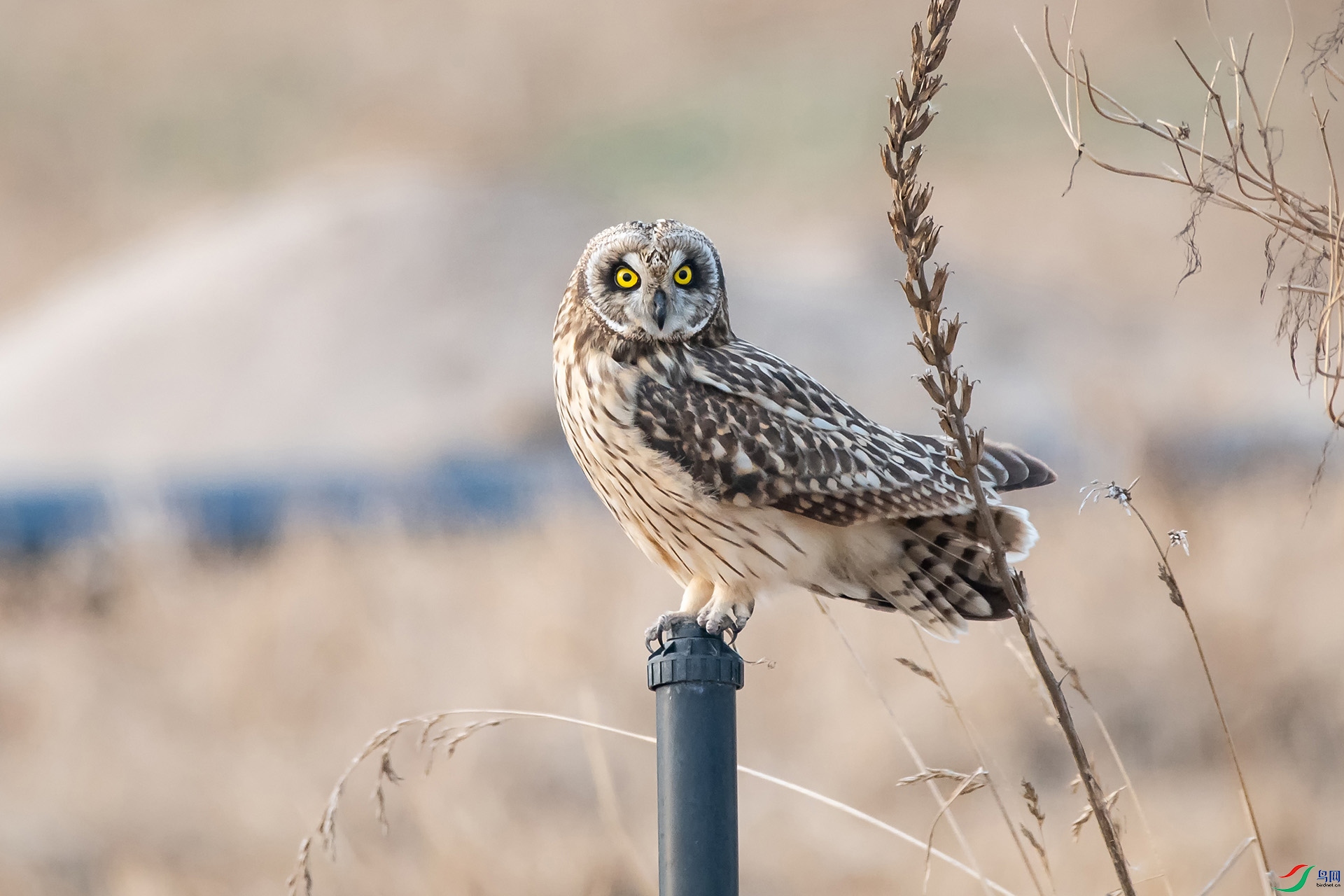 DSC_0767-20210302�ü� .jpg