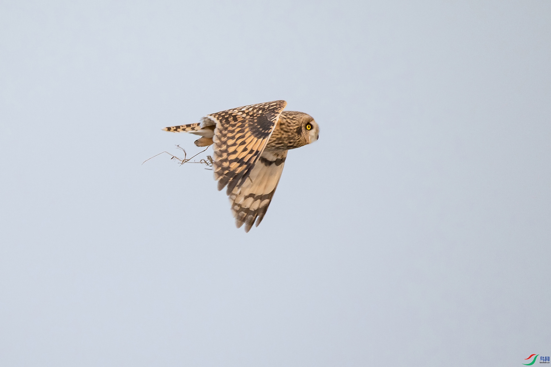 DSC_0801-20210302�ü� .jpg