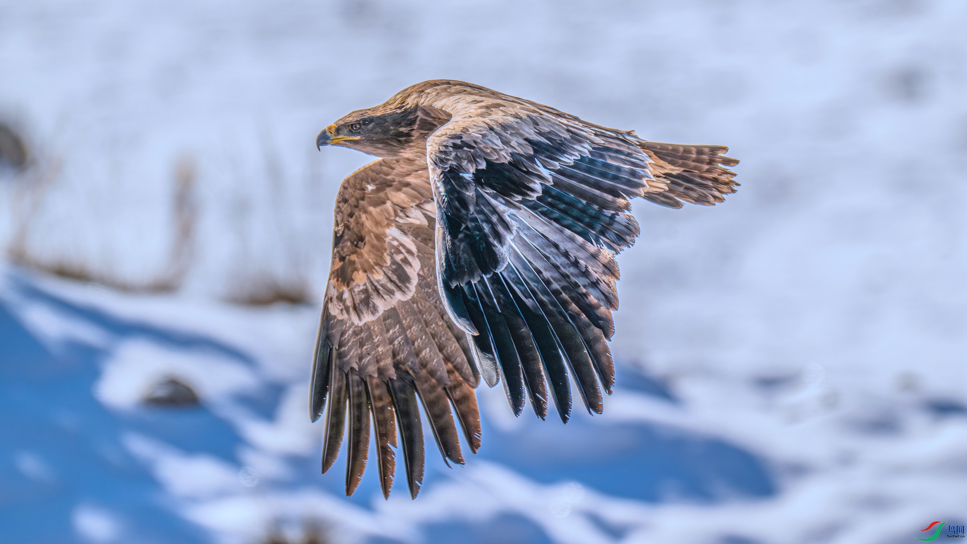 DSC_1746 ����_����.jpg