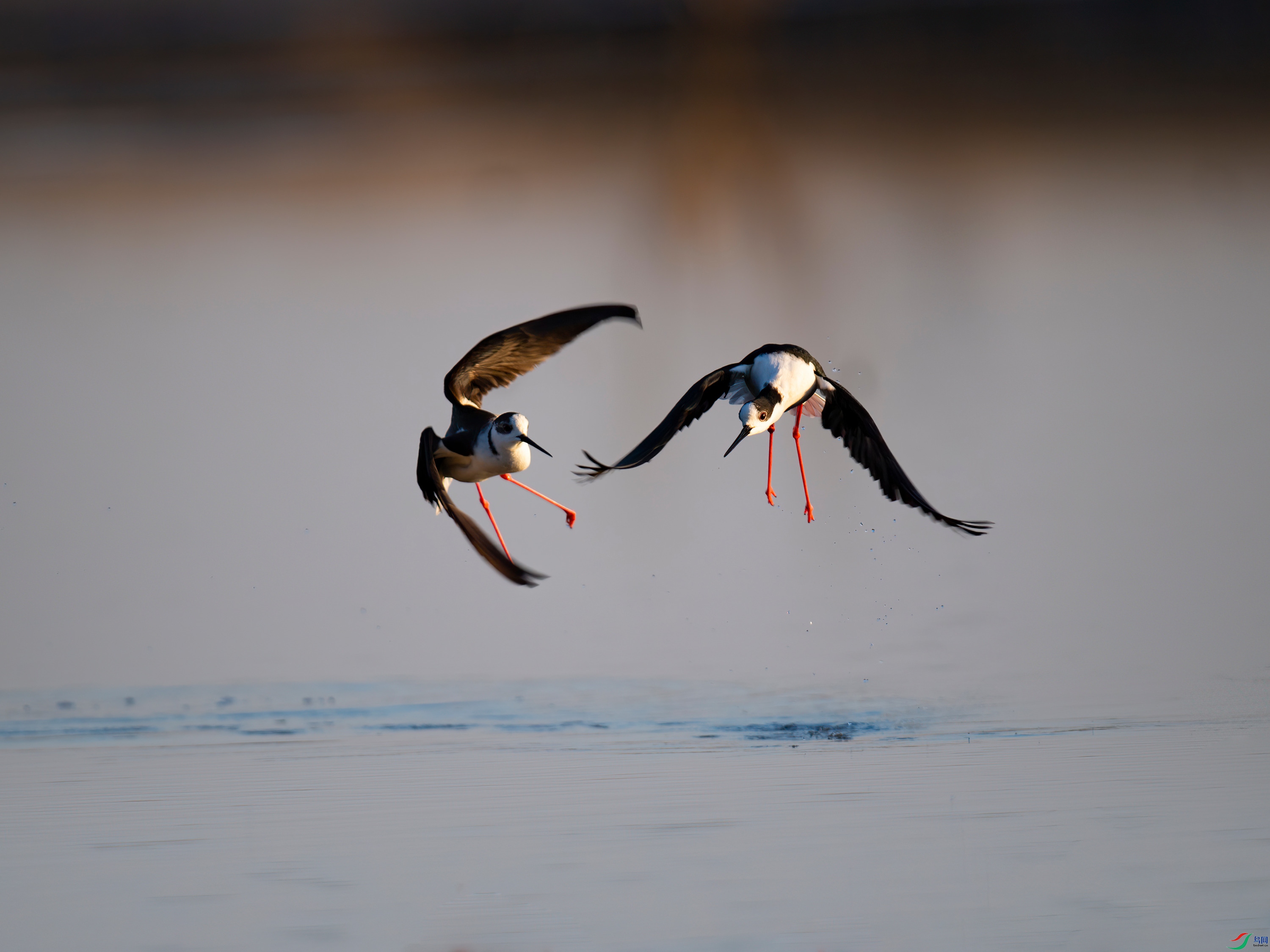 �ڳ᳤���� (8).jpg