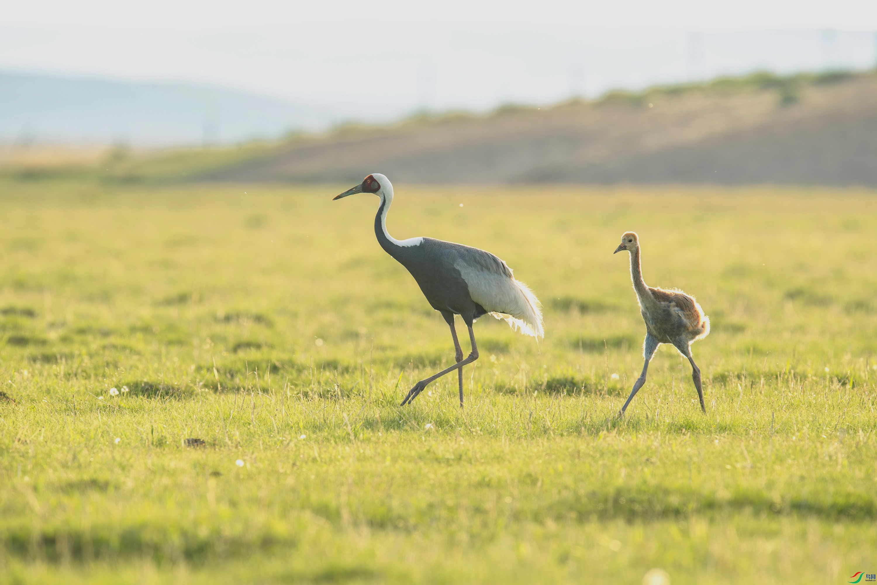 ������  (14).jpg