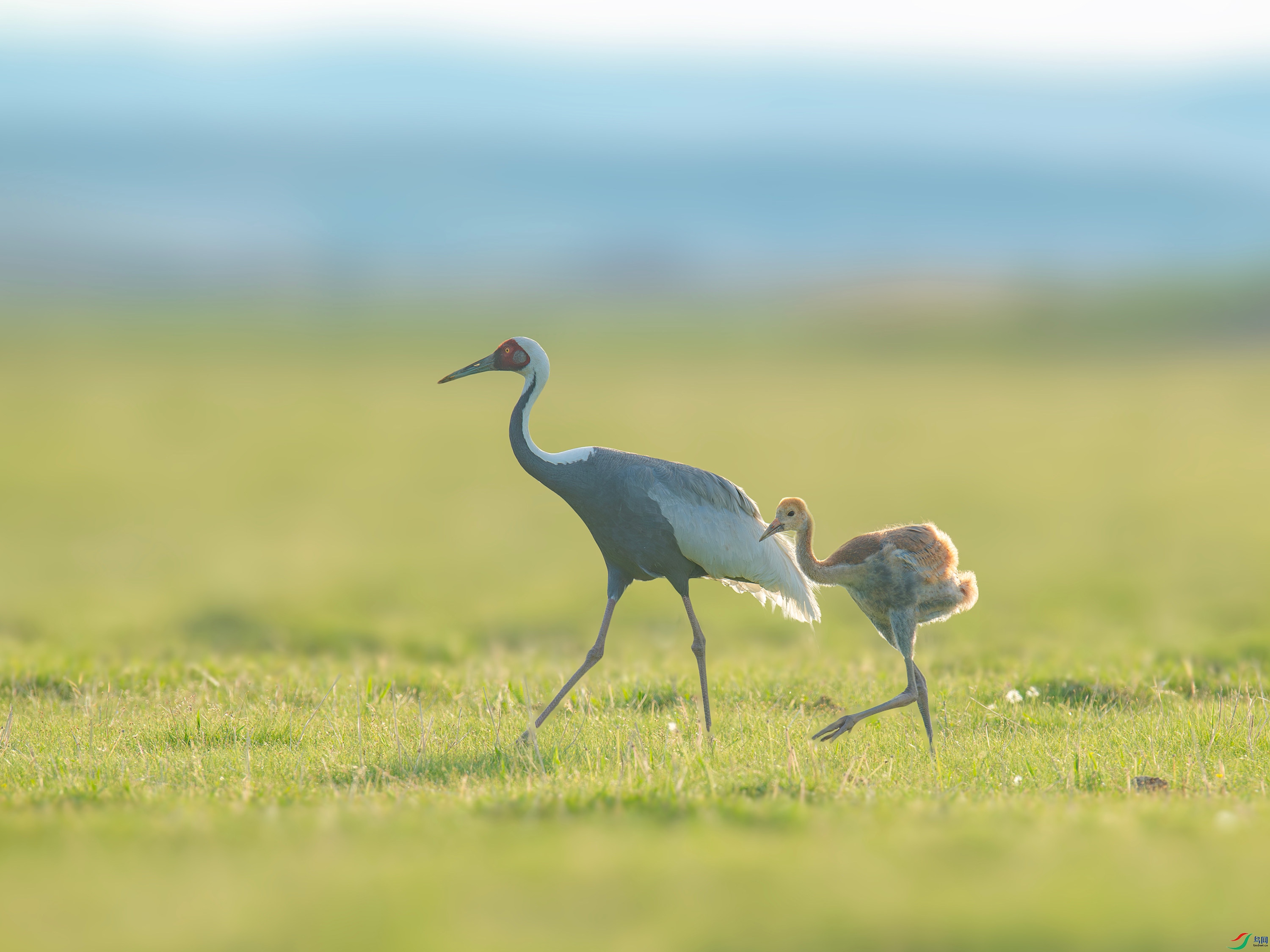 ������  (15).jpg