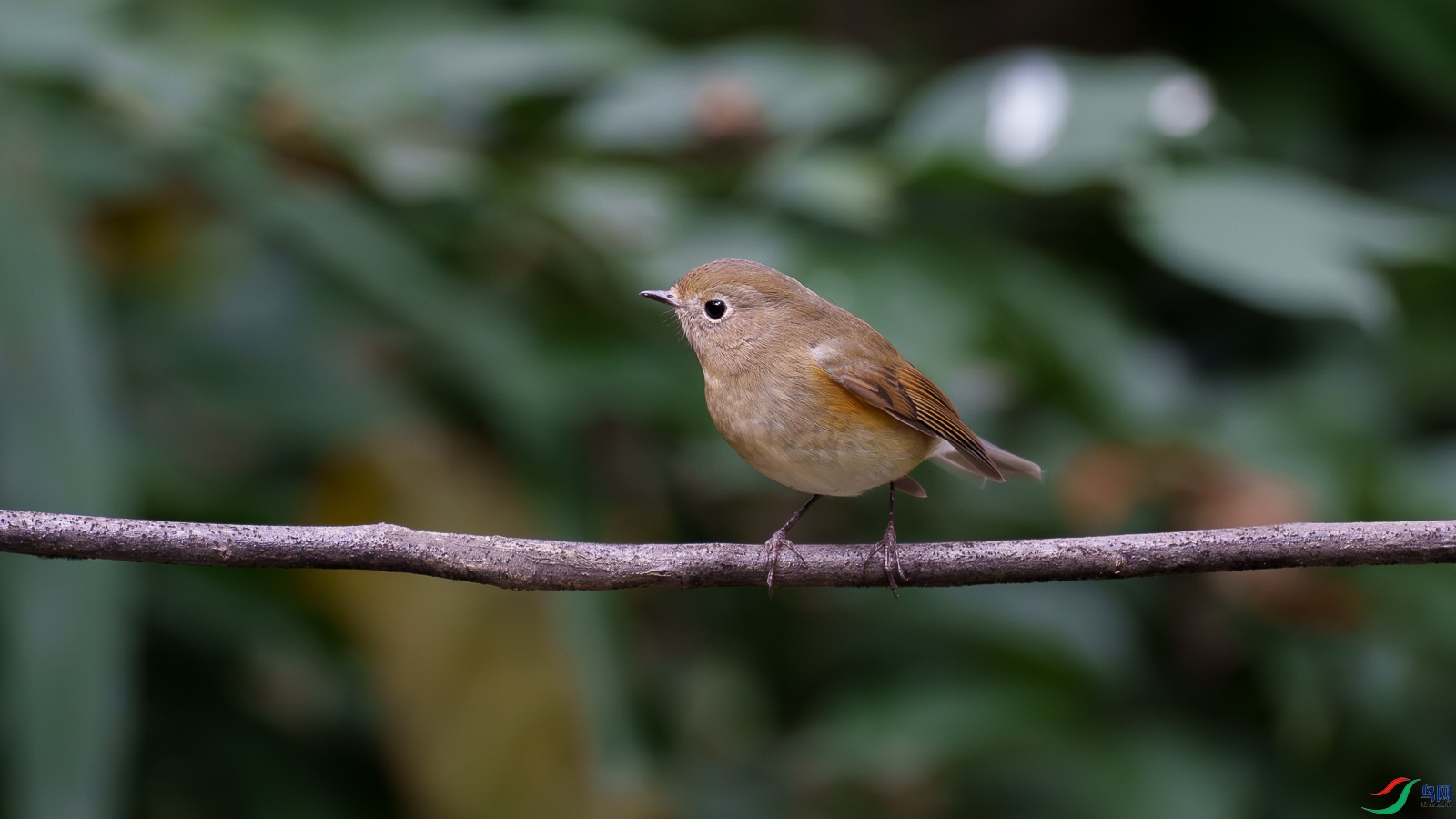 DSC08794.jpg