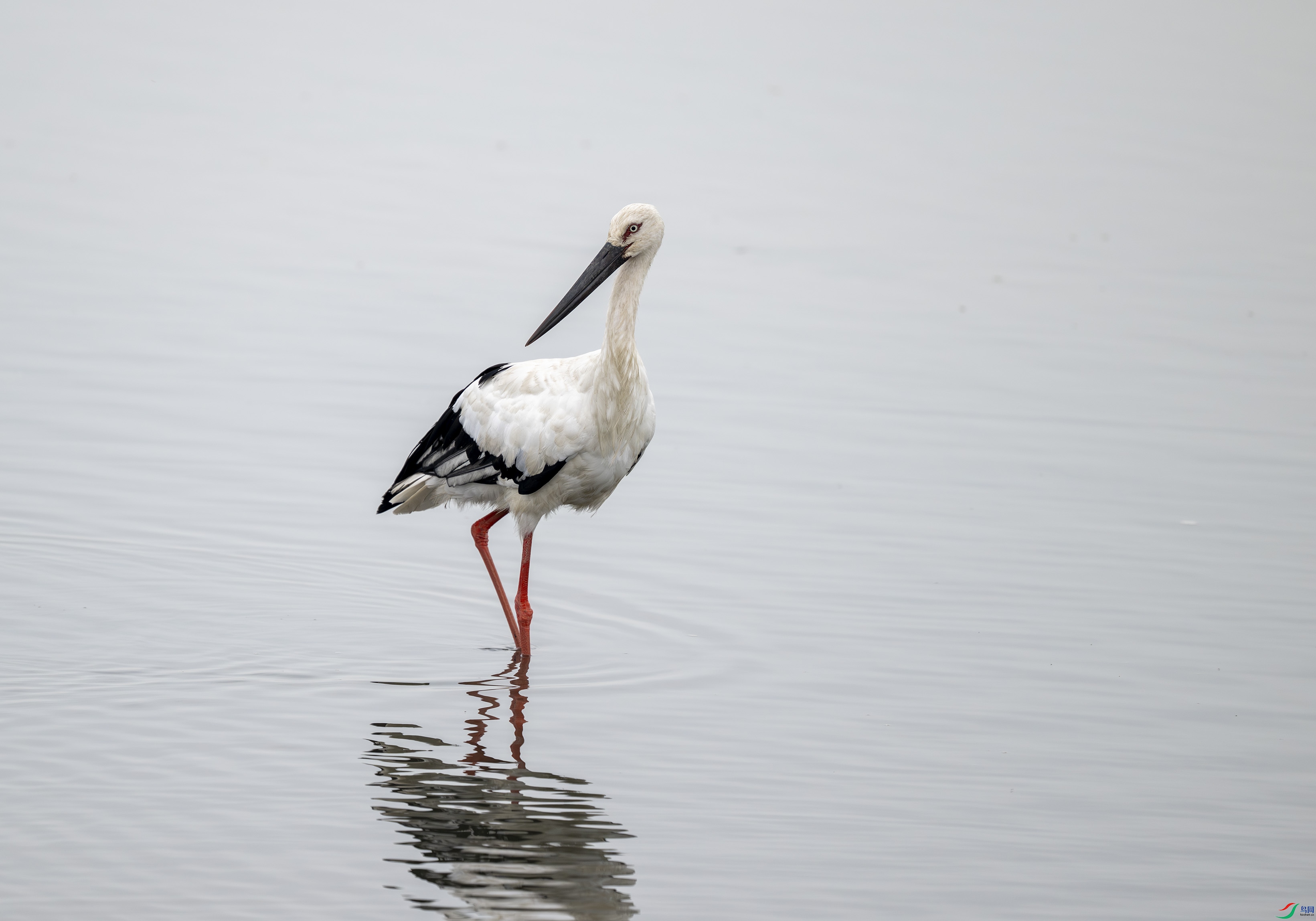 DSC_3691.jpg