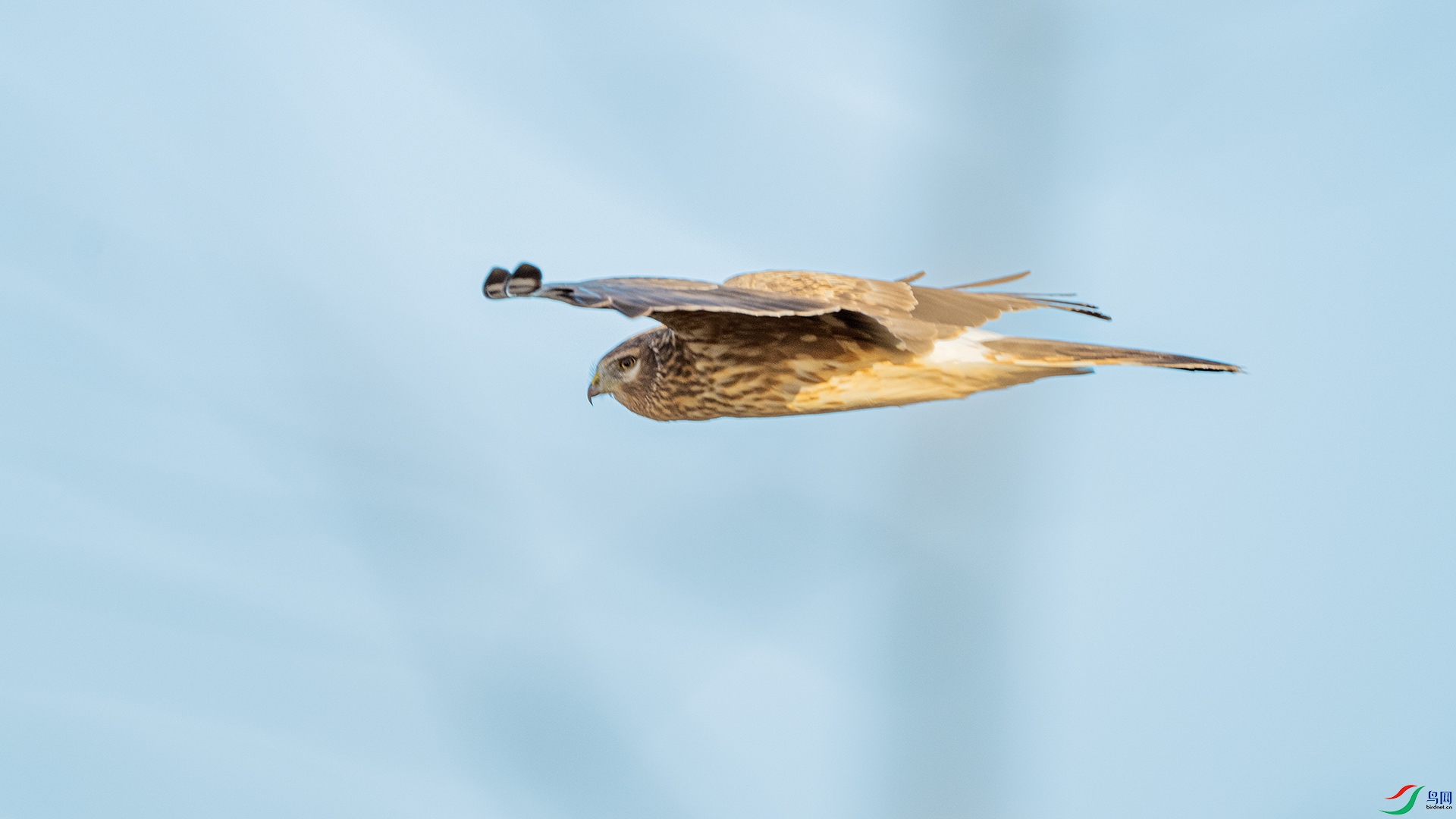 DSC_0507 ����.jpg