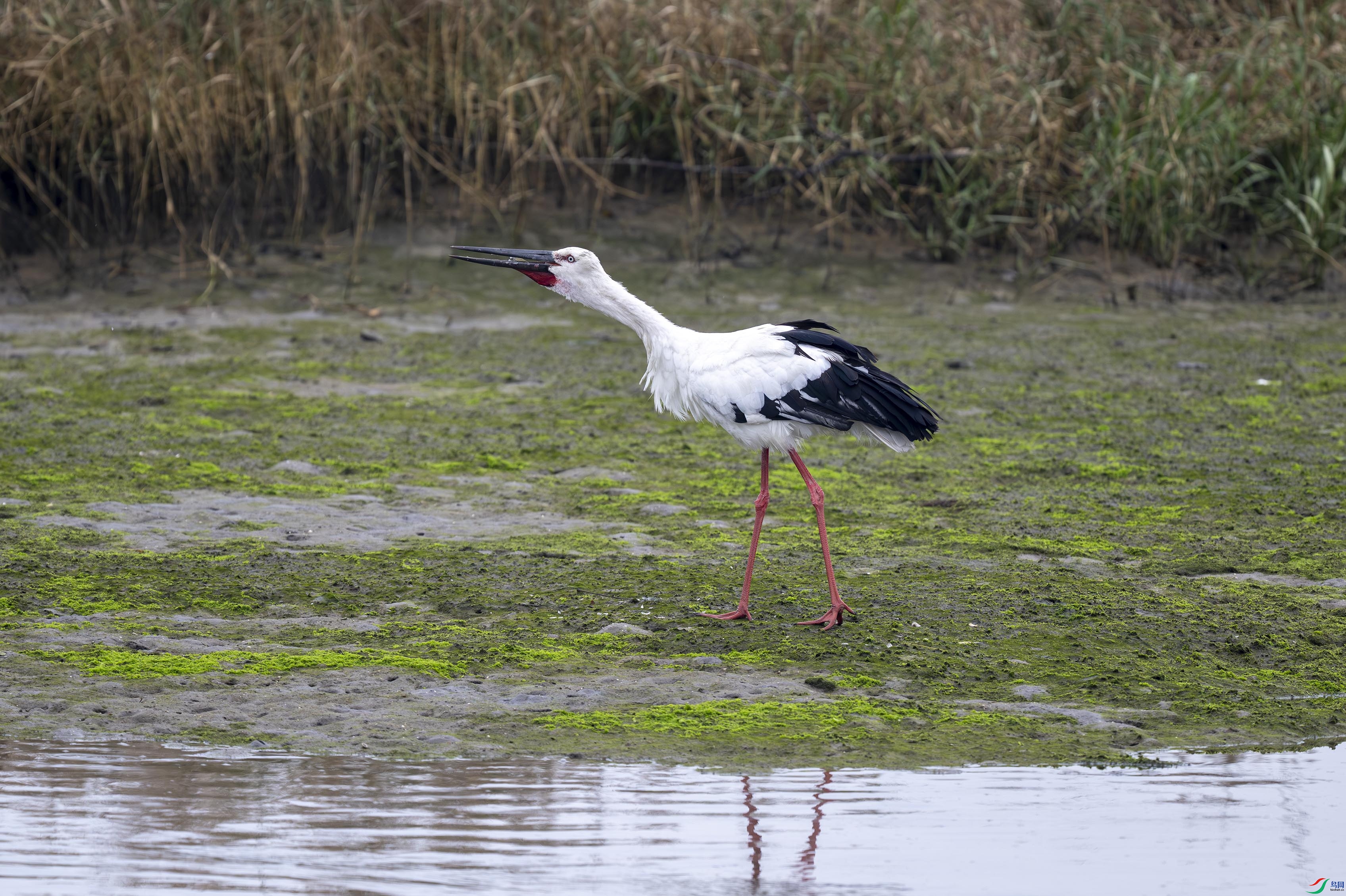 DSC_3744.jpg