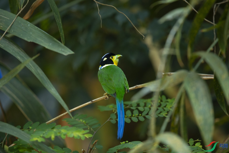 a1_32.jpg