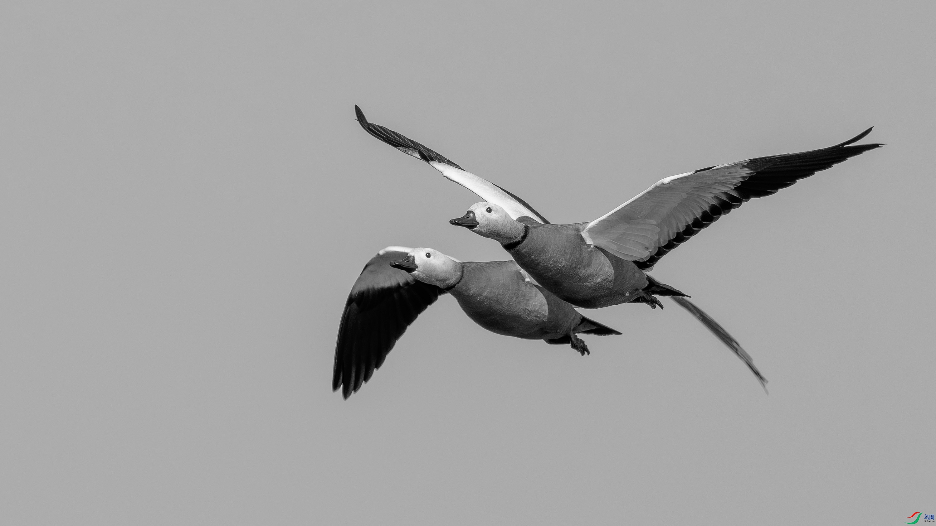 DSC02670-h.jpg