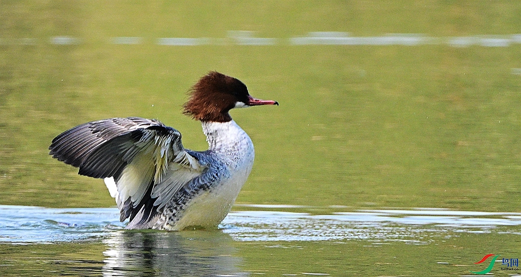 DSC_5831.JPG