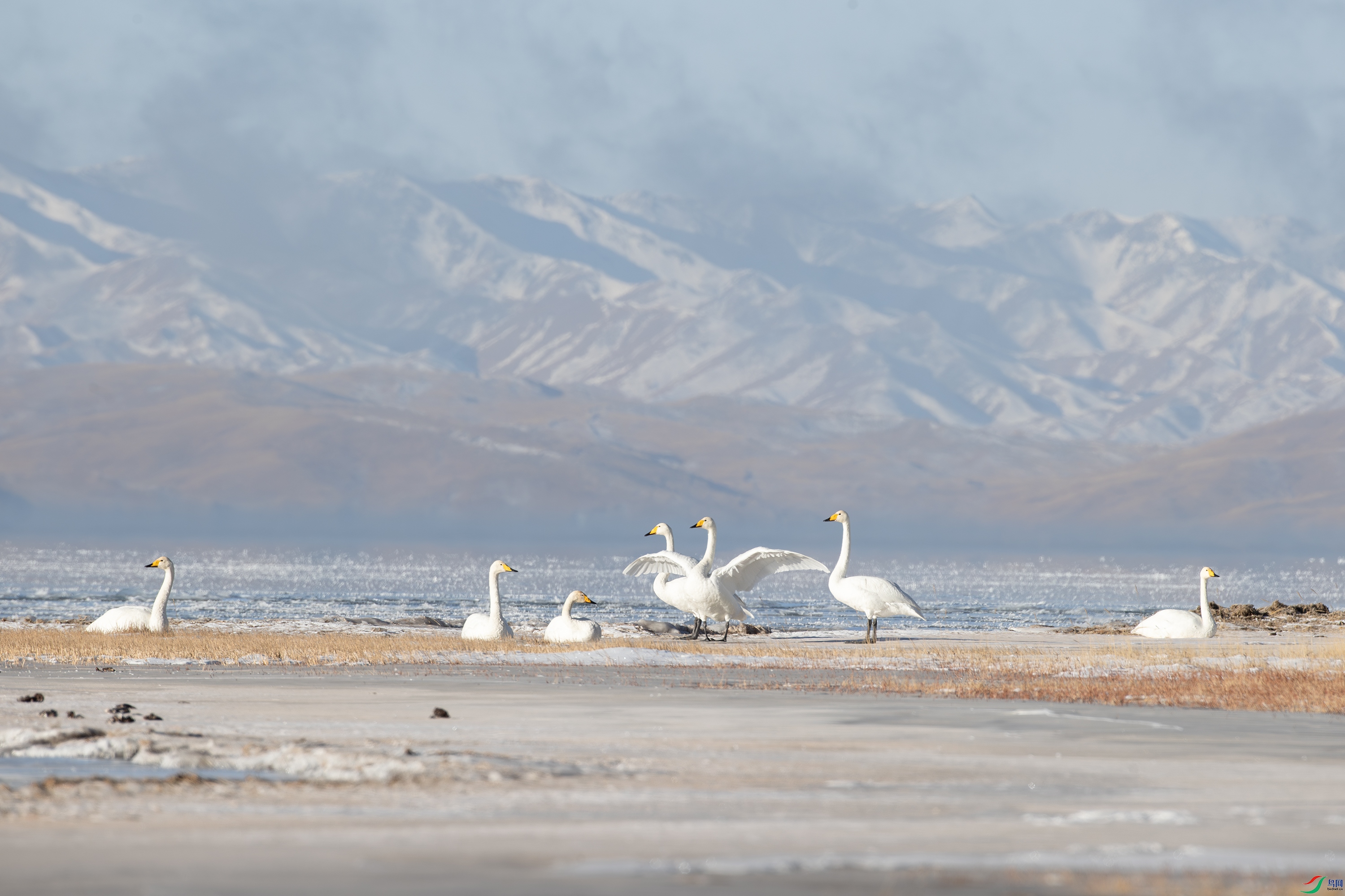 A15I7130-����ǿ-NR ����.jpg