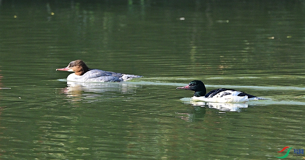 DSC_6134.JPG