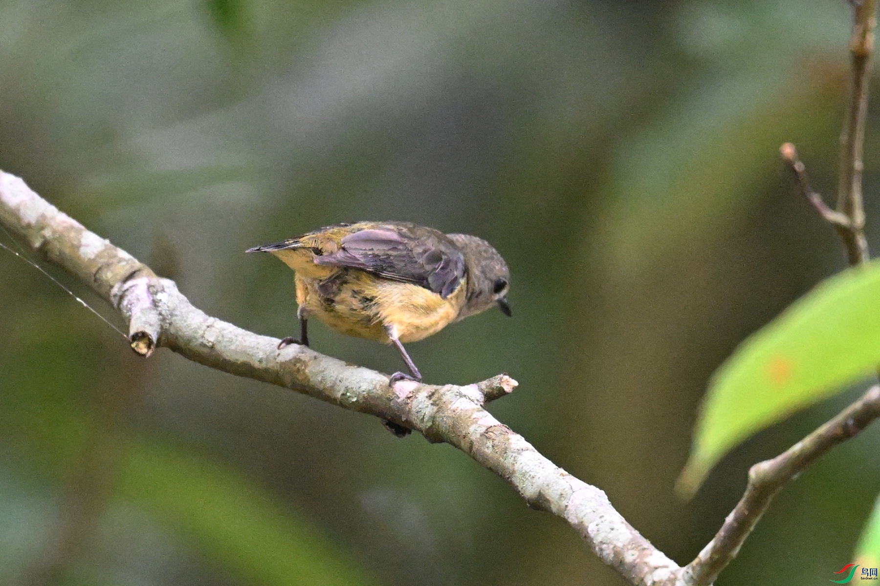 DSC_9934.JPG