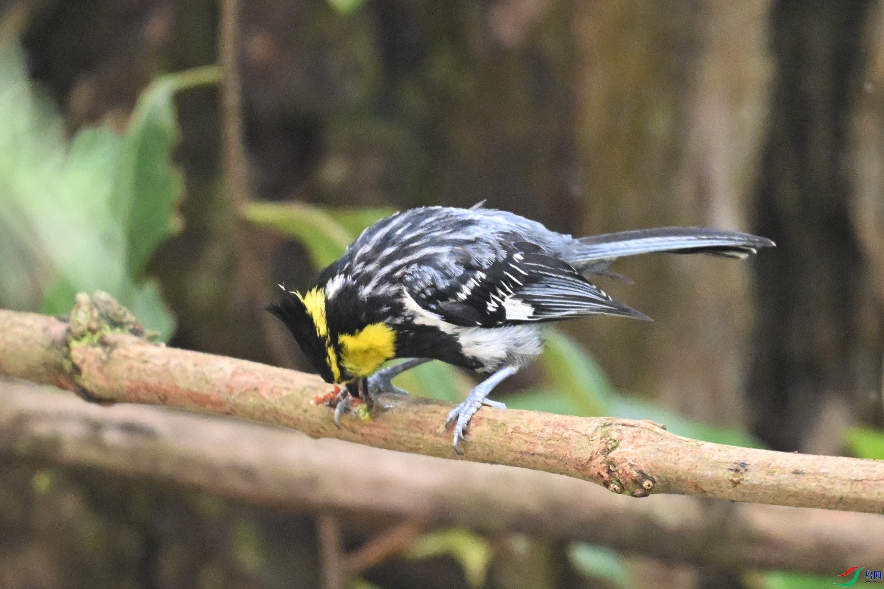 DSC_9989.JPG
