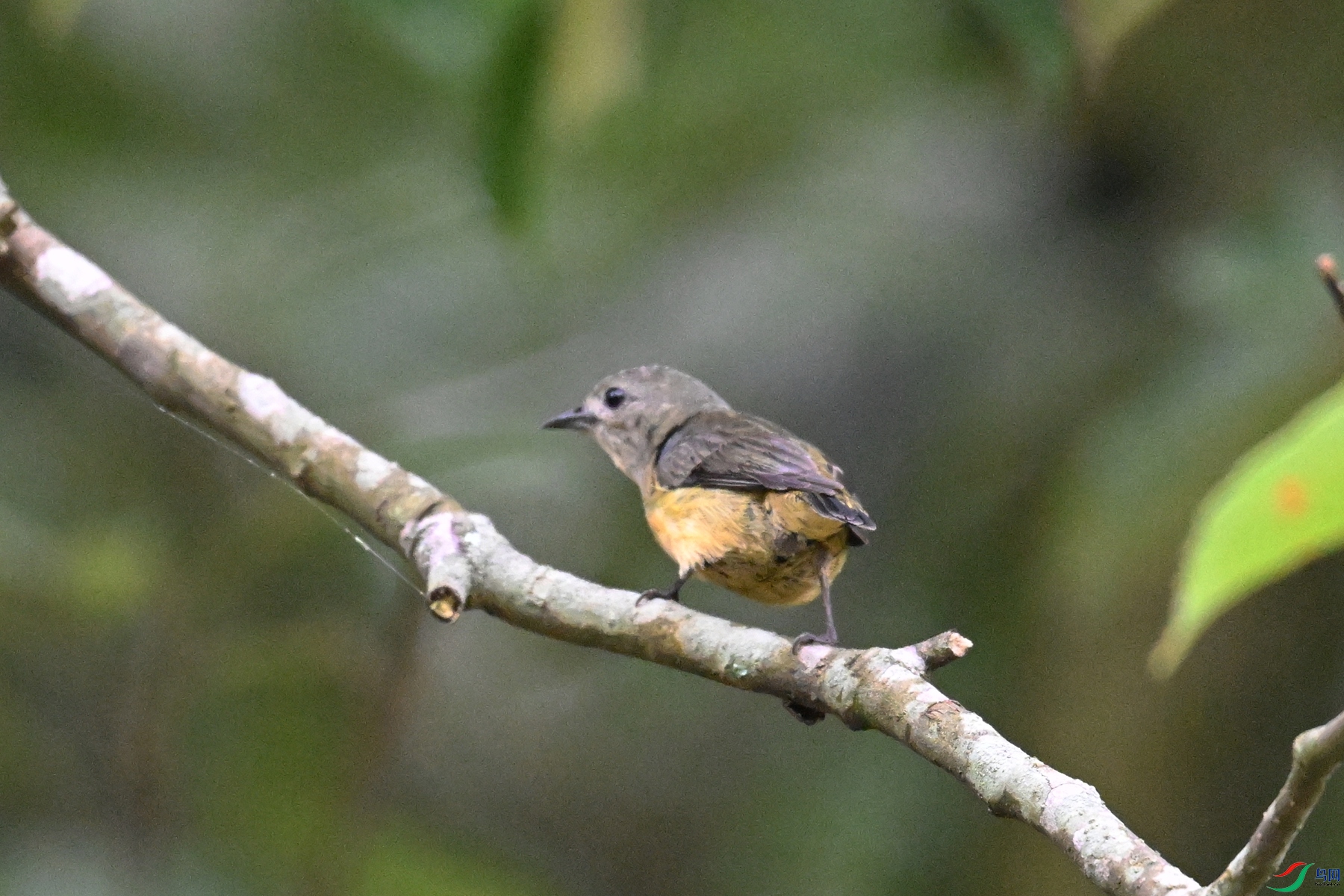 DSC_9941.JPG