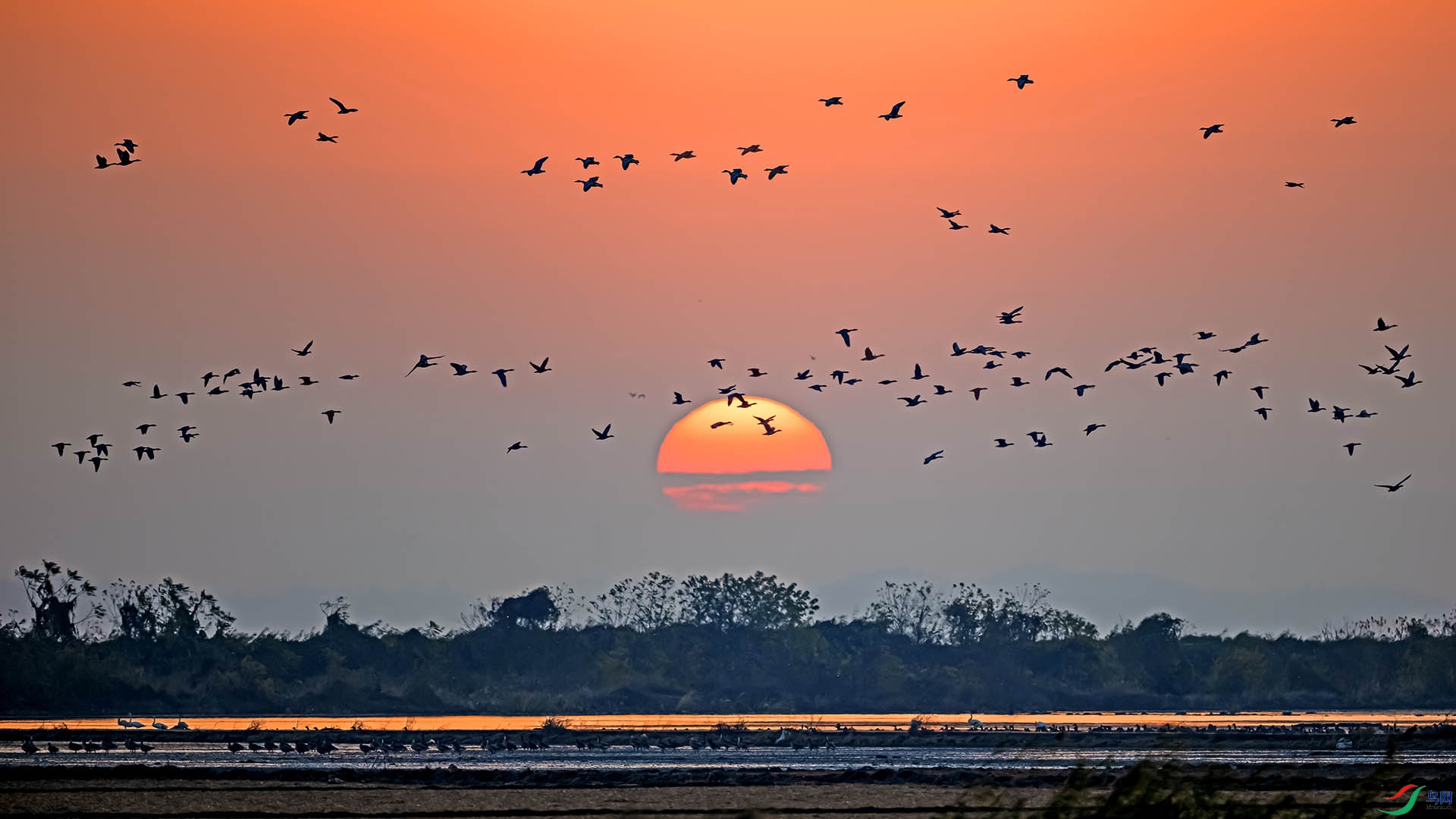 DSC_7840 ����.jpg