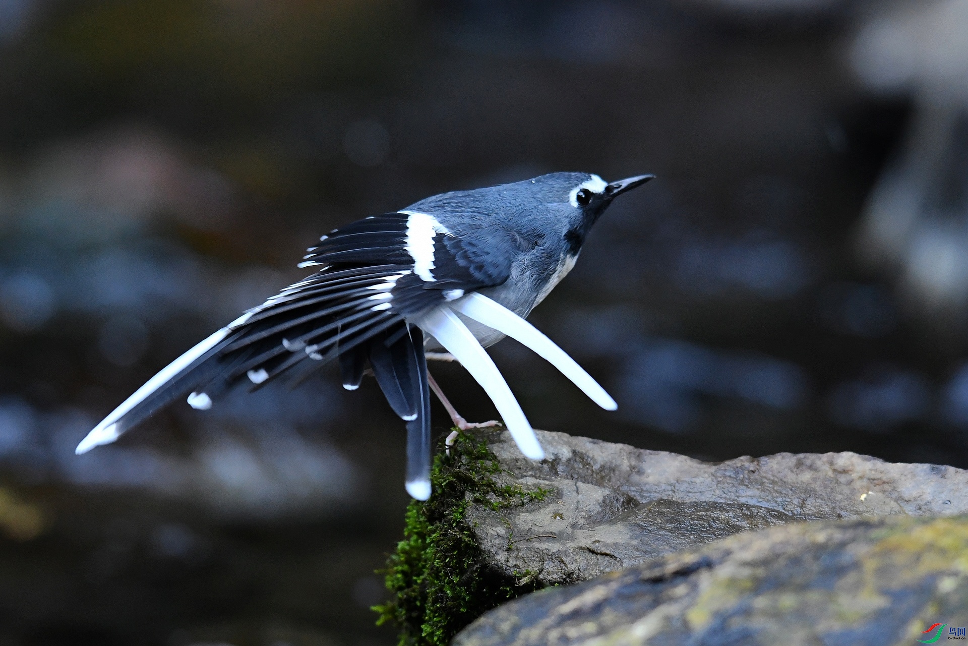 DSC_5072.jpg