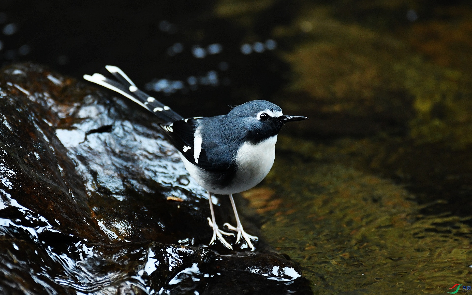 DSC_8648.jpg