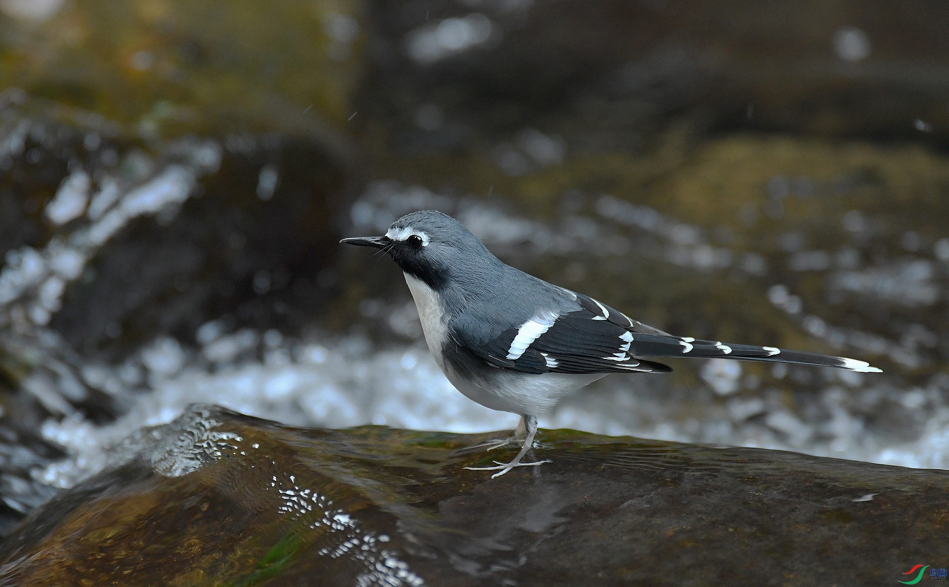 DSC_8679.jpg