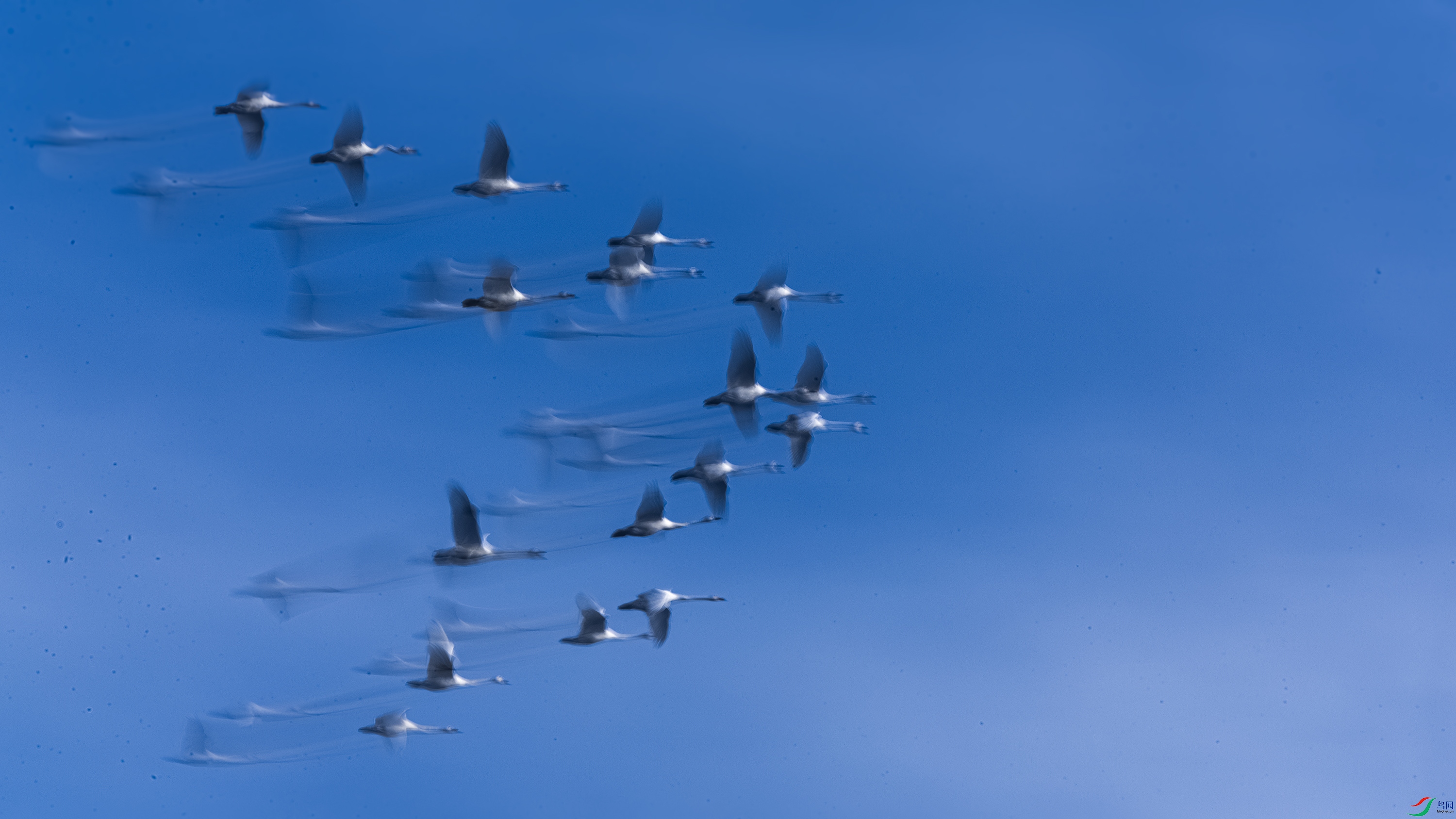 _O7A2074 ����.jpg