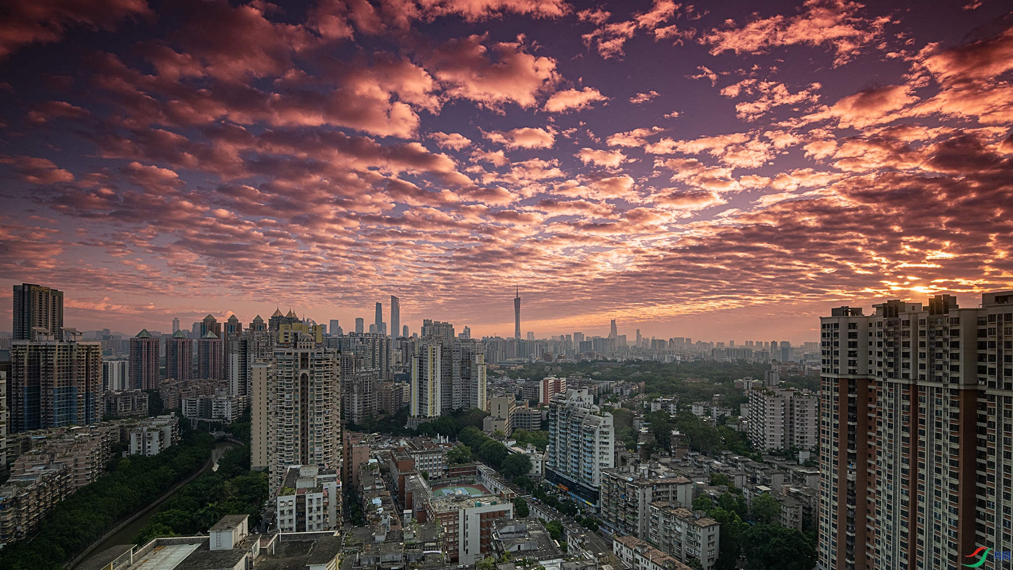 DSC_0217x.jpg