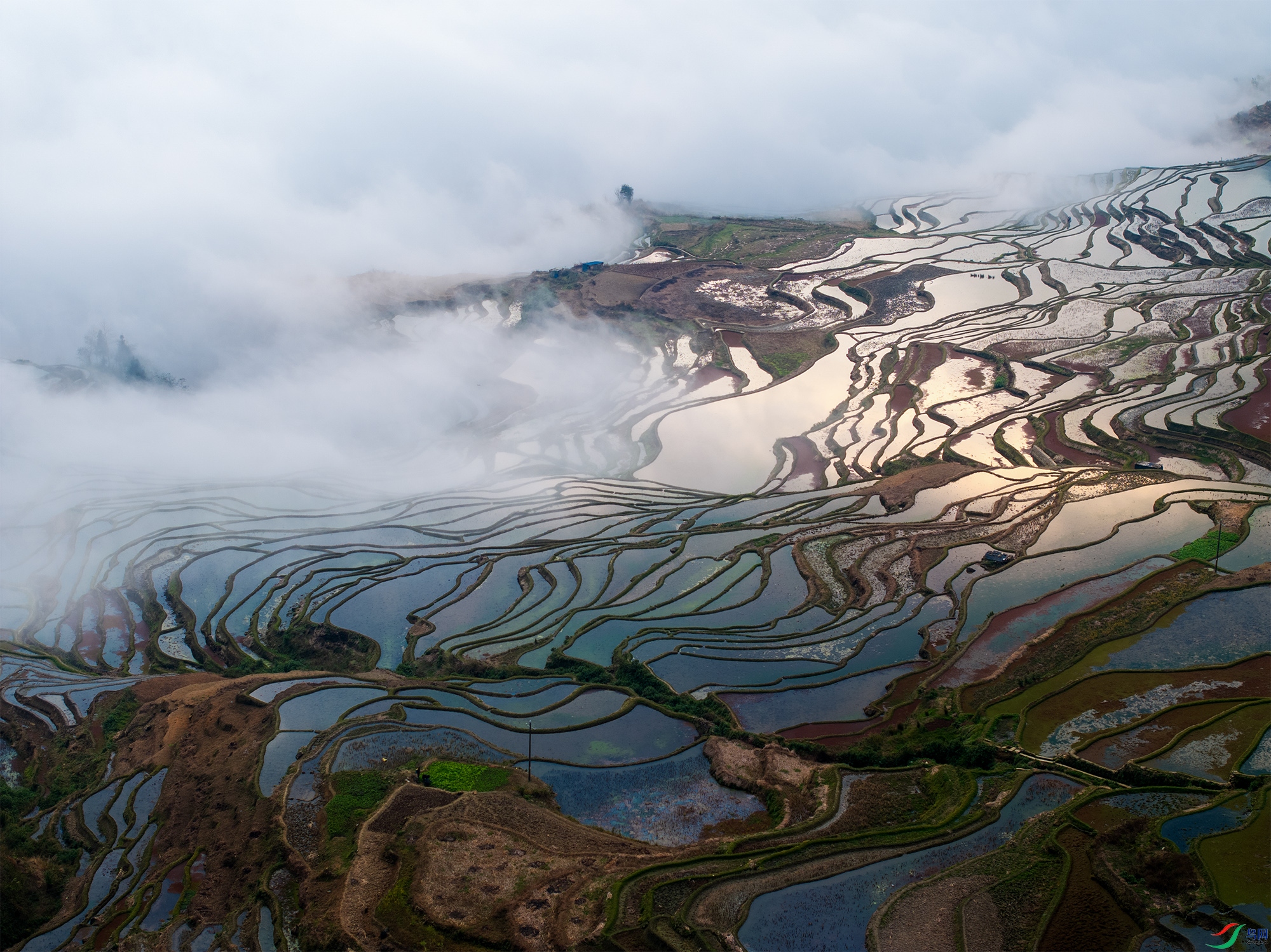 DJI_20250215081322_0045_D ����.jpg