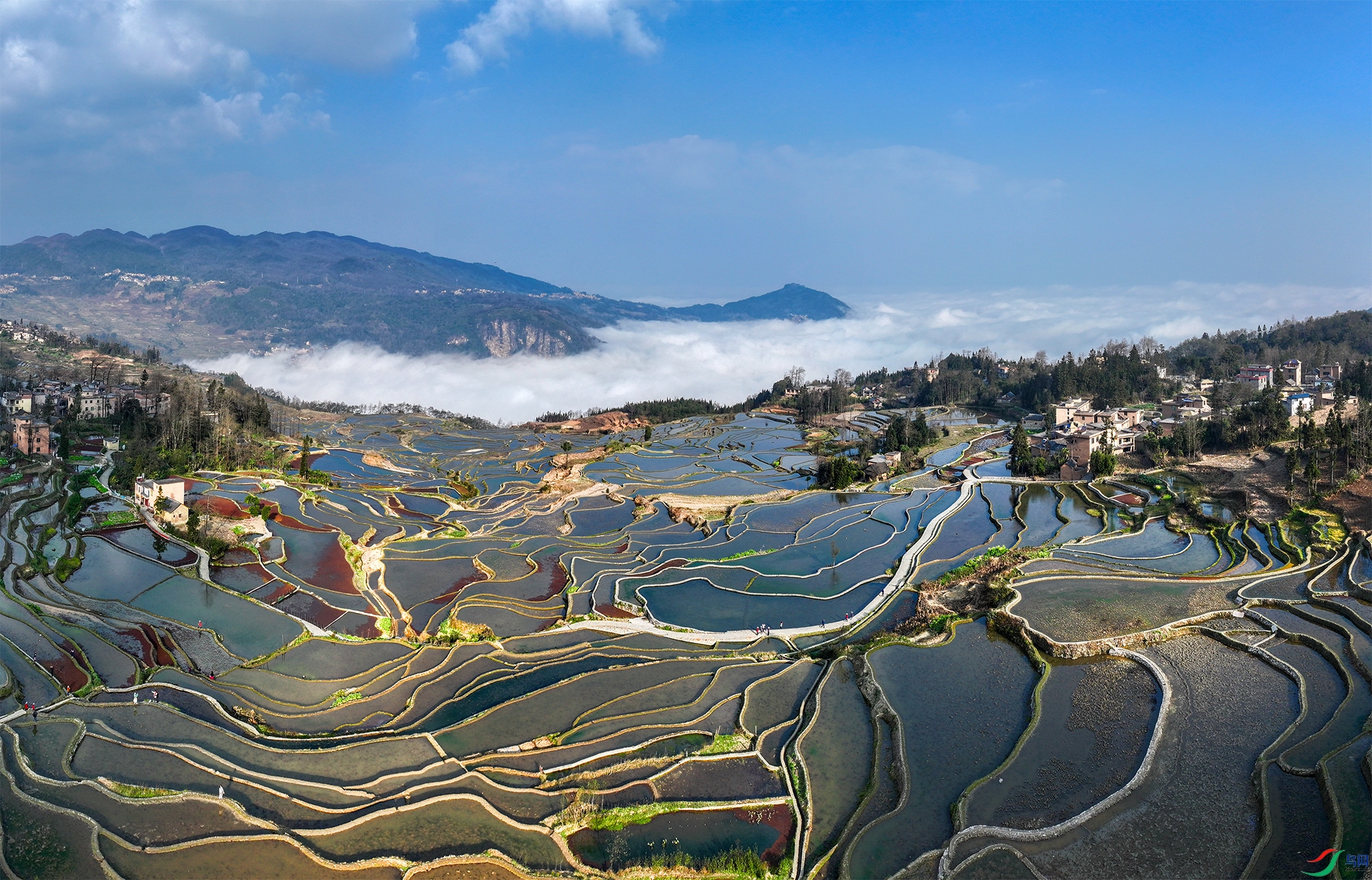 DJI_20250215094343_0109_D ����a.jpg