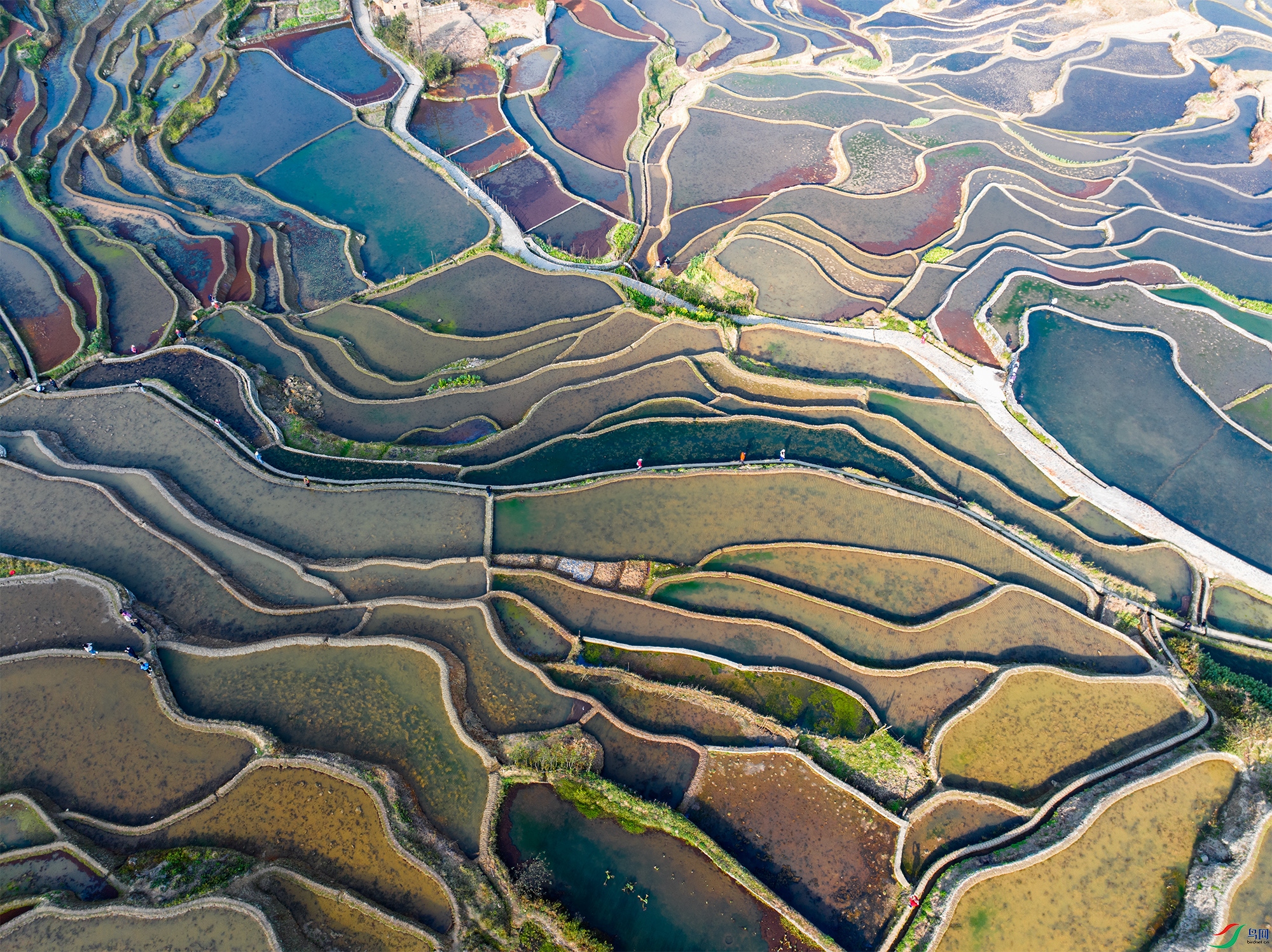 DJI_20250215095929_0143_D ����.jpg