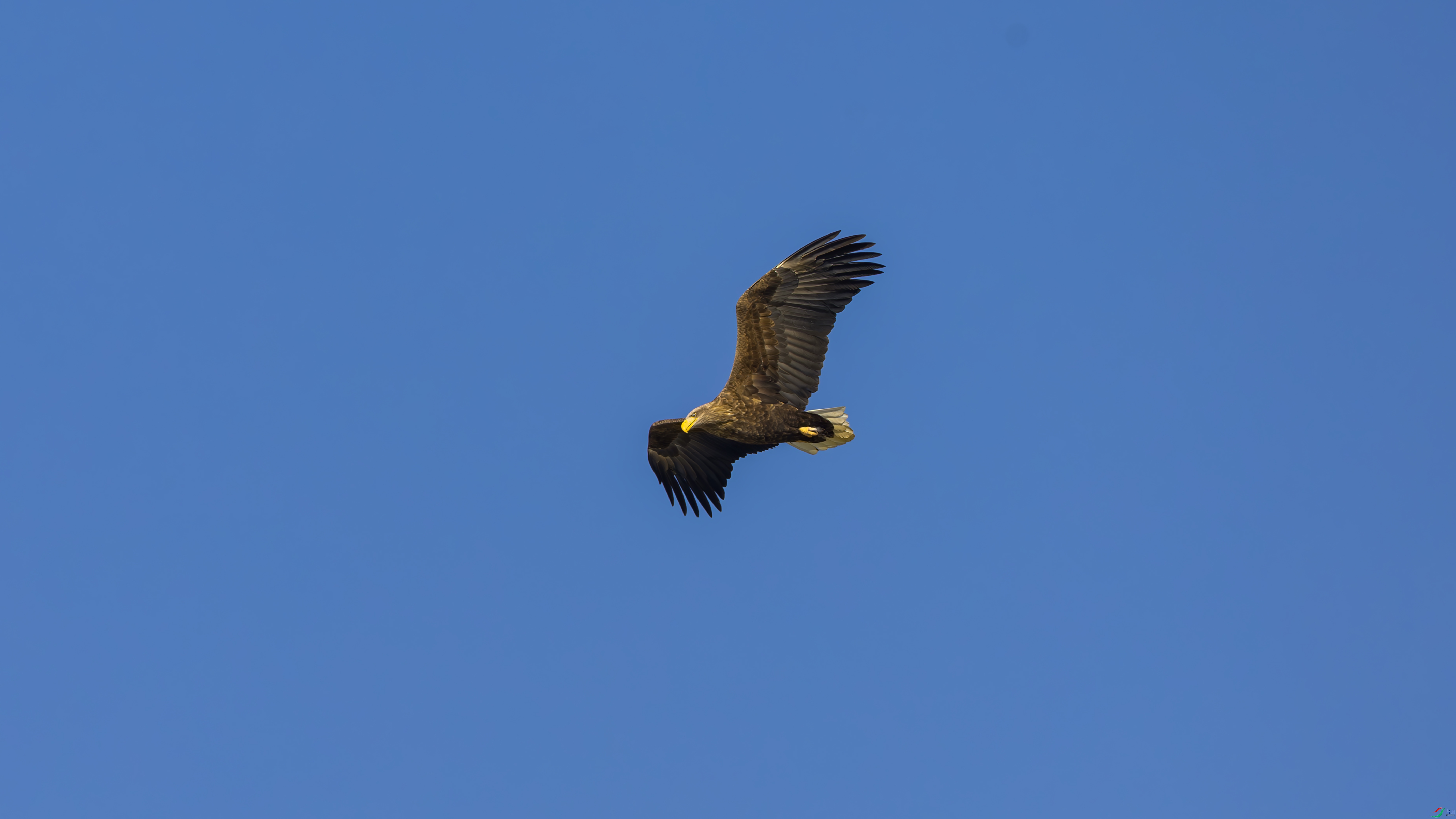 _O7A0828 ����.jpg