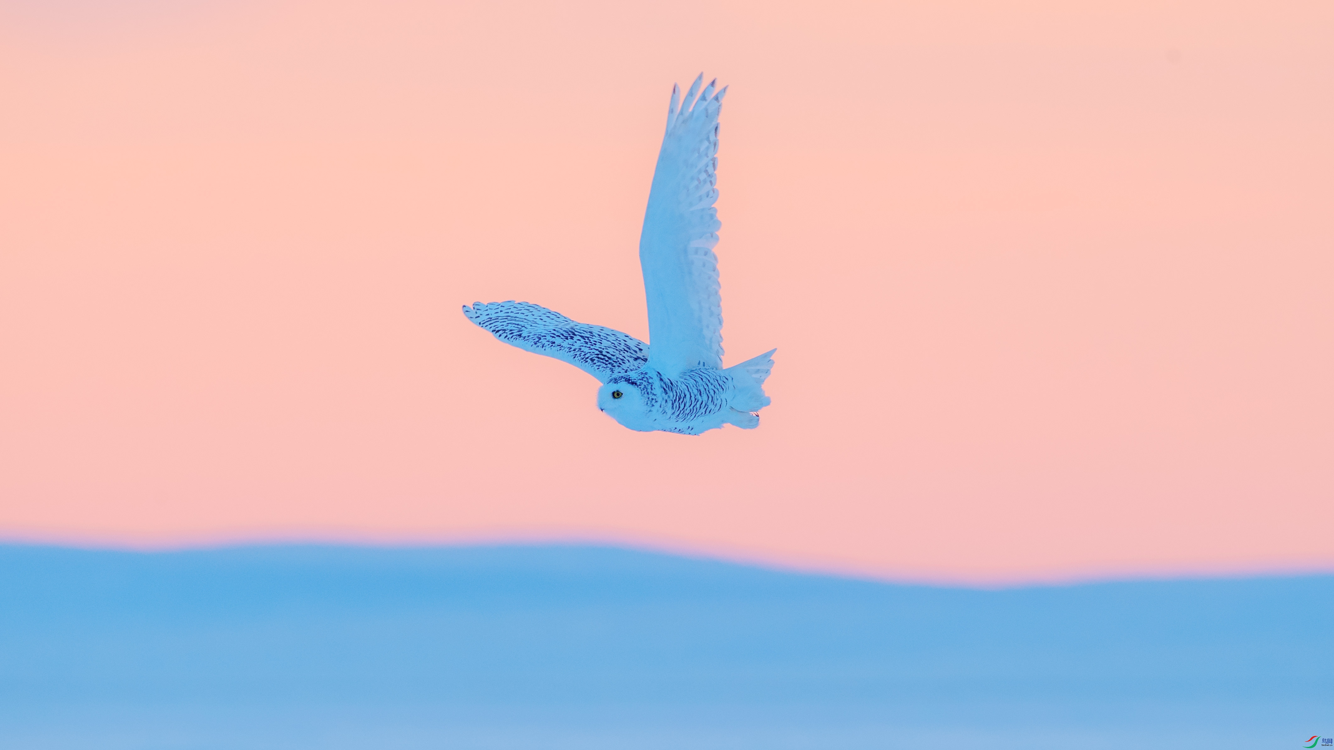DSC_1344.jpg