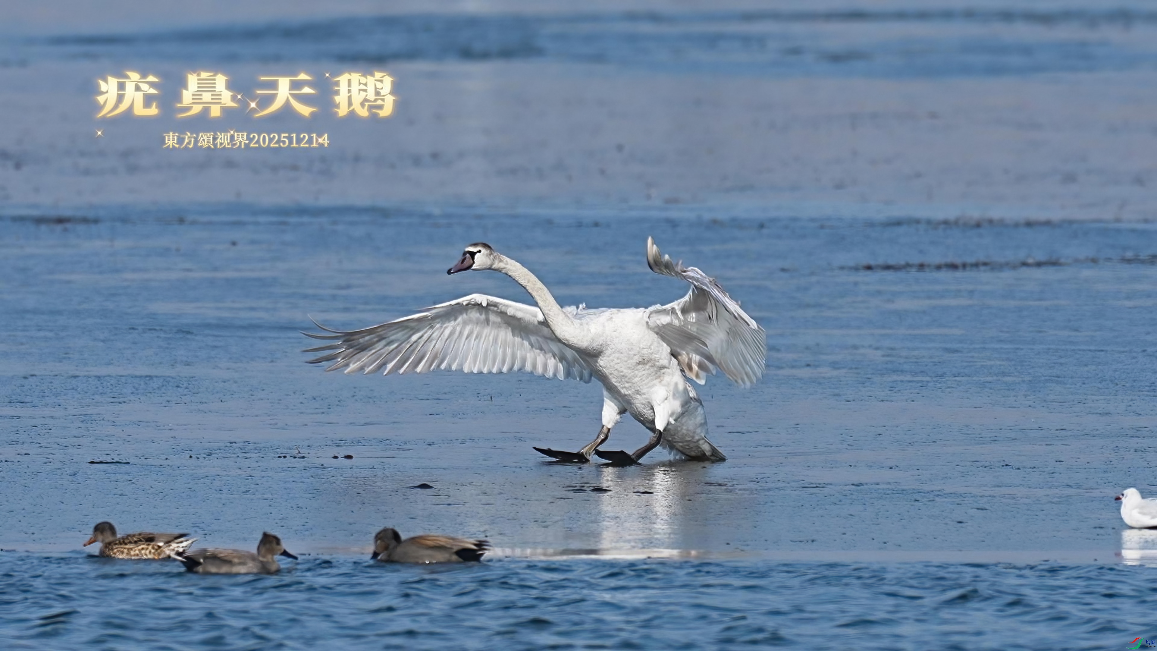 12��14�� ������-����.jpg