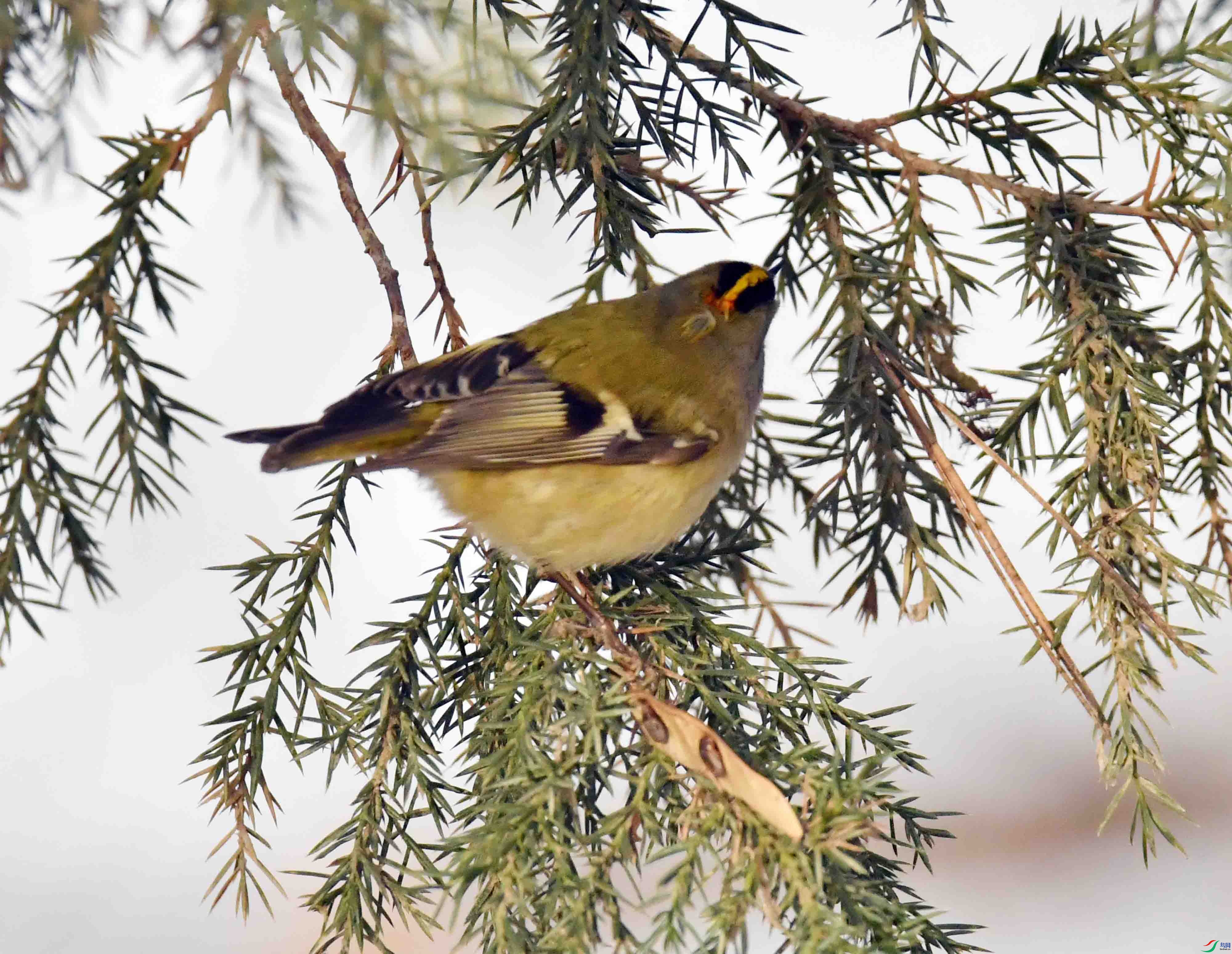 DSC_5232.JPG