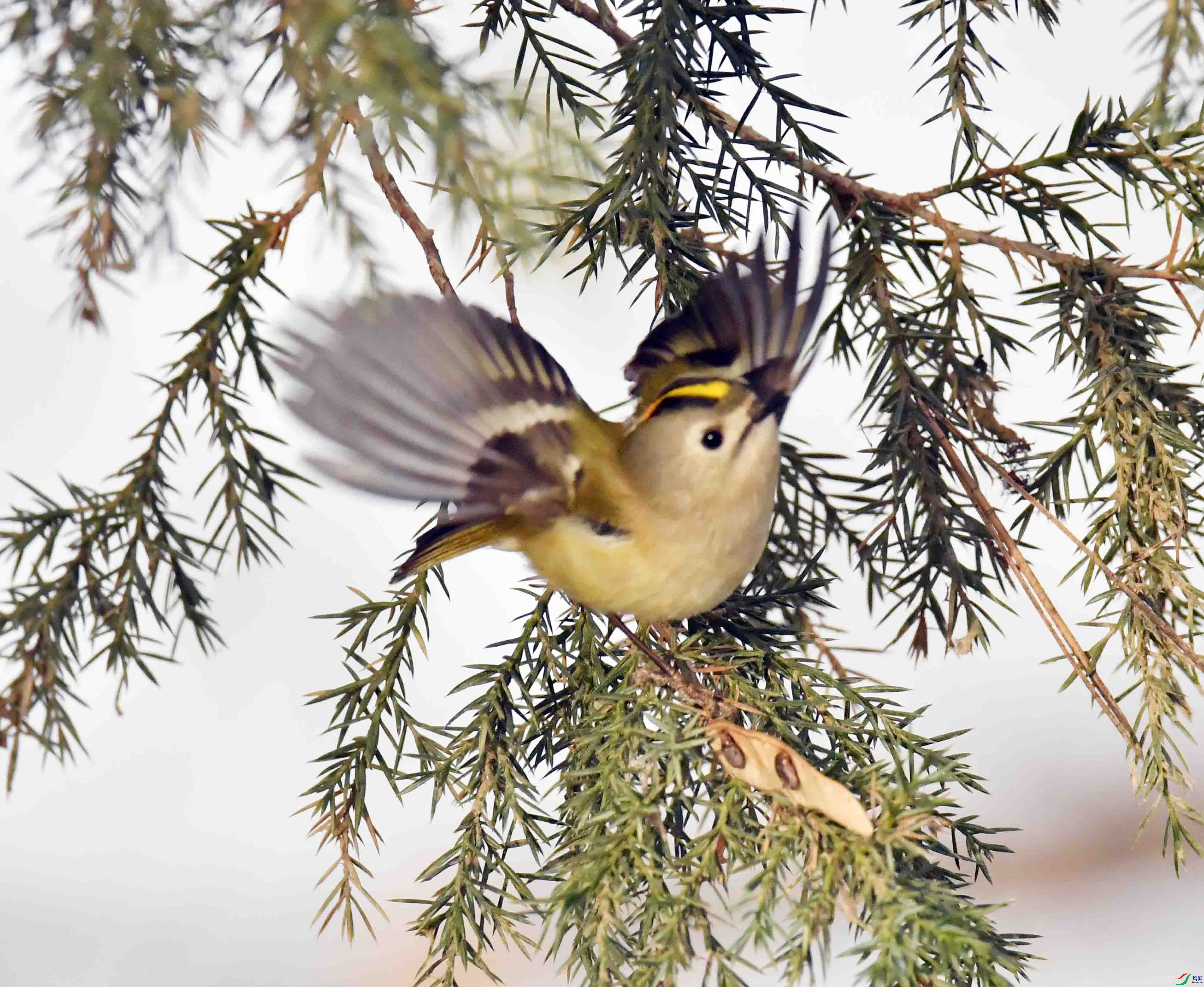 DSC_5238.JPG