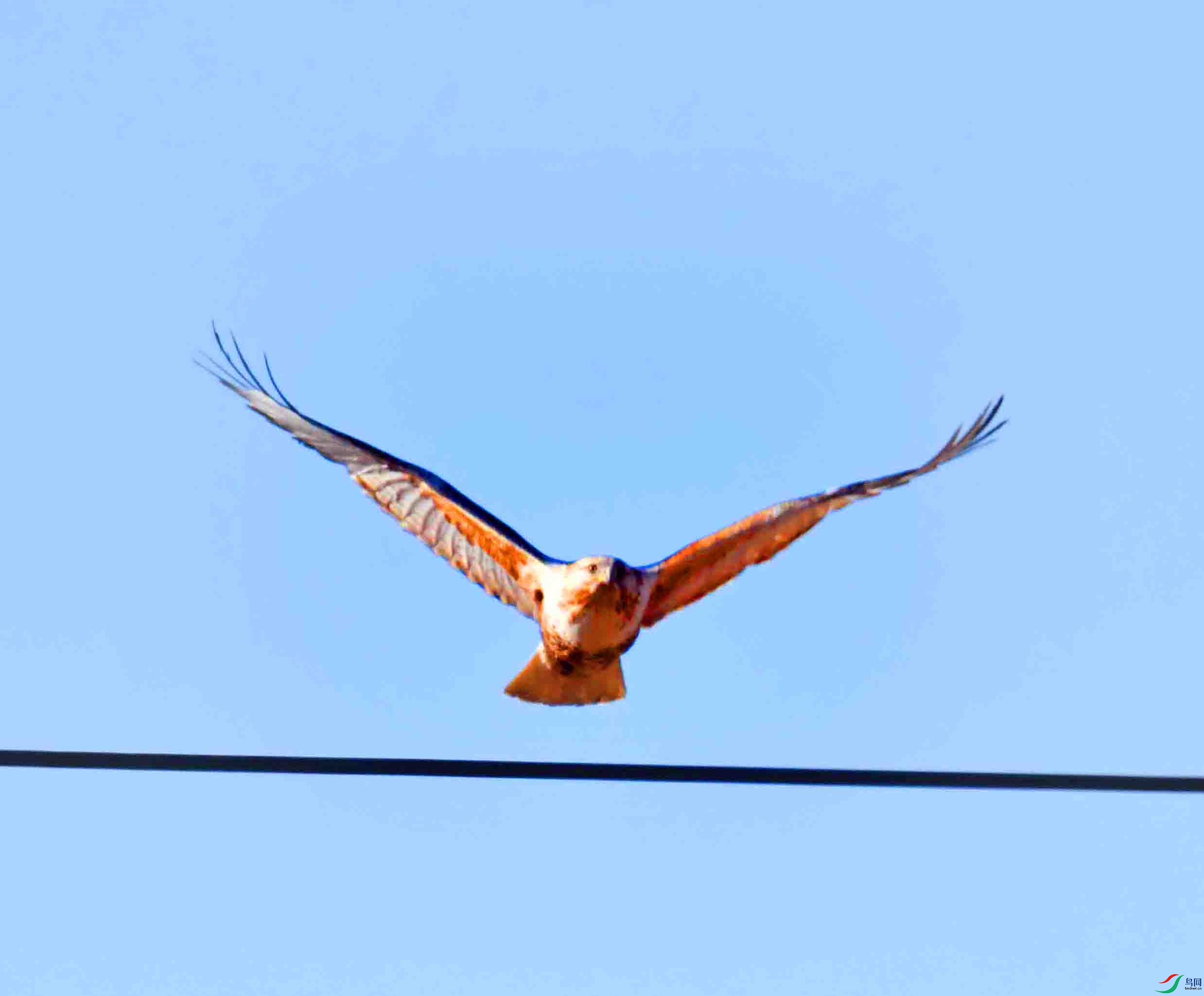 DSC_2983.JPG