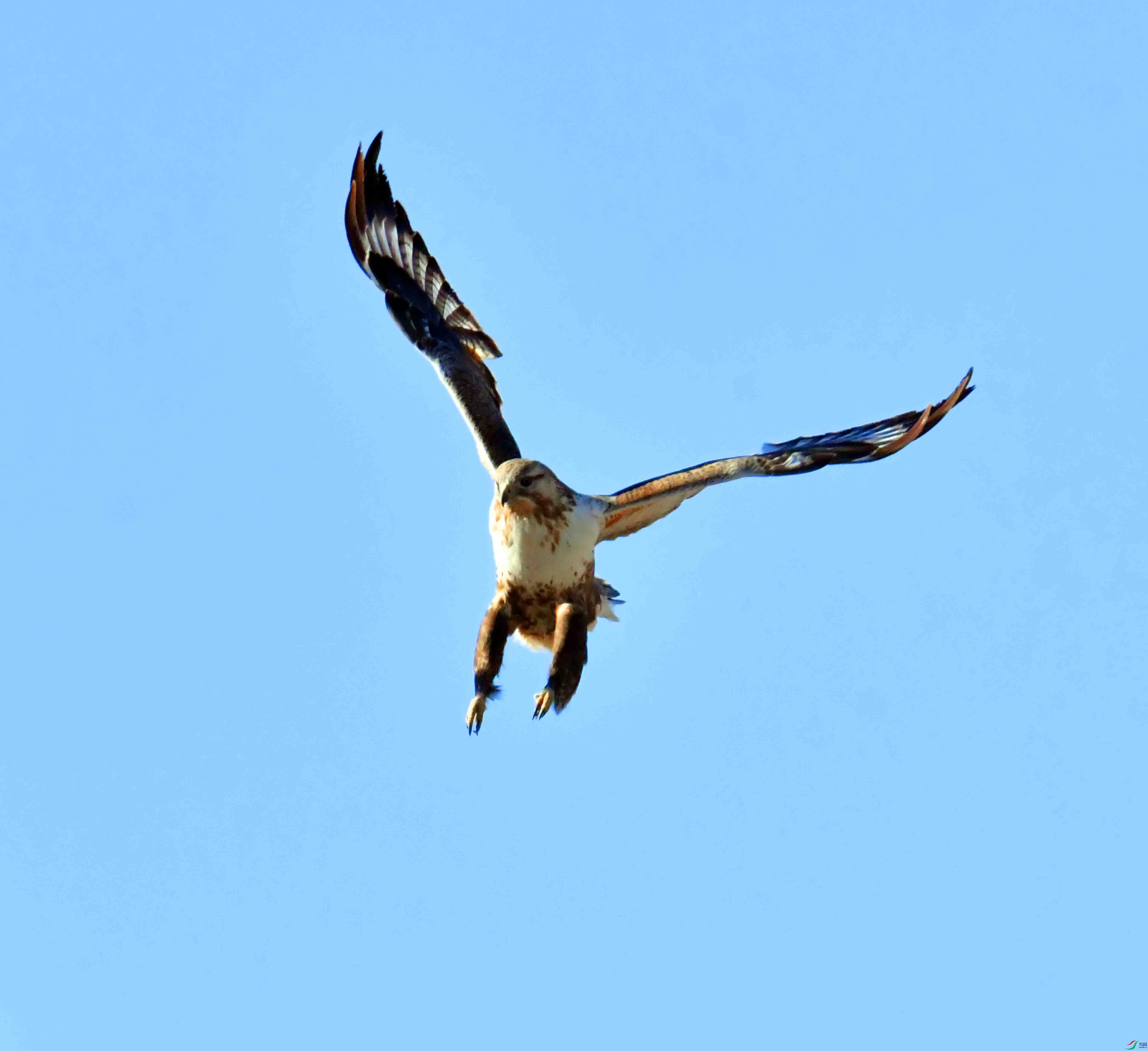 DSC_2993.JPG