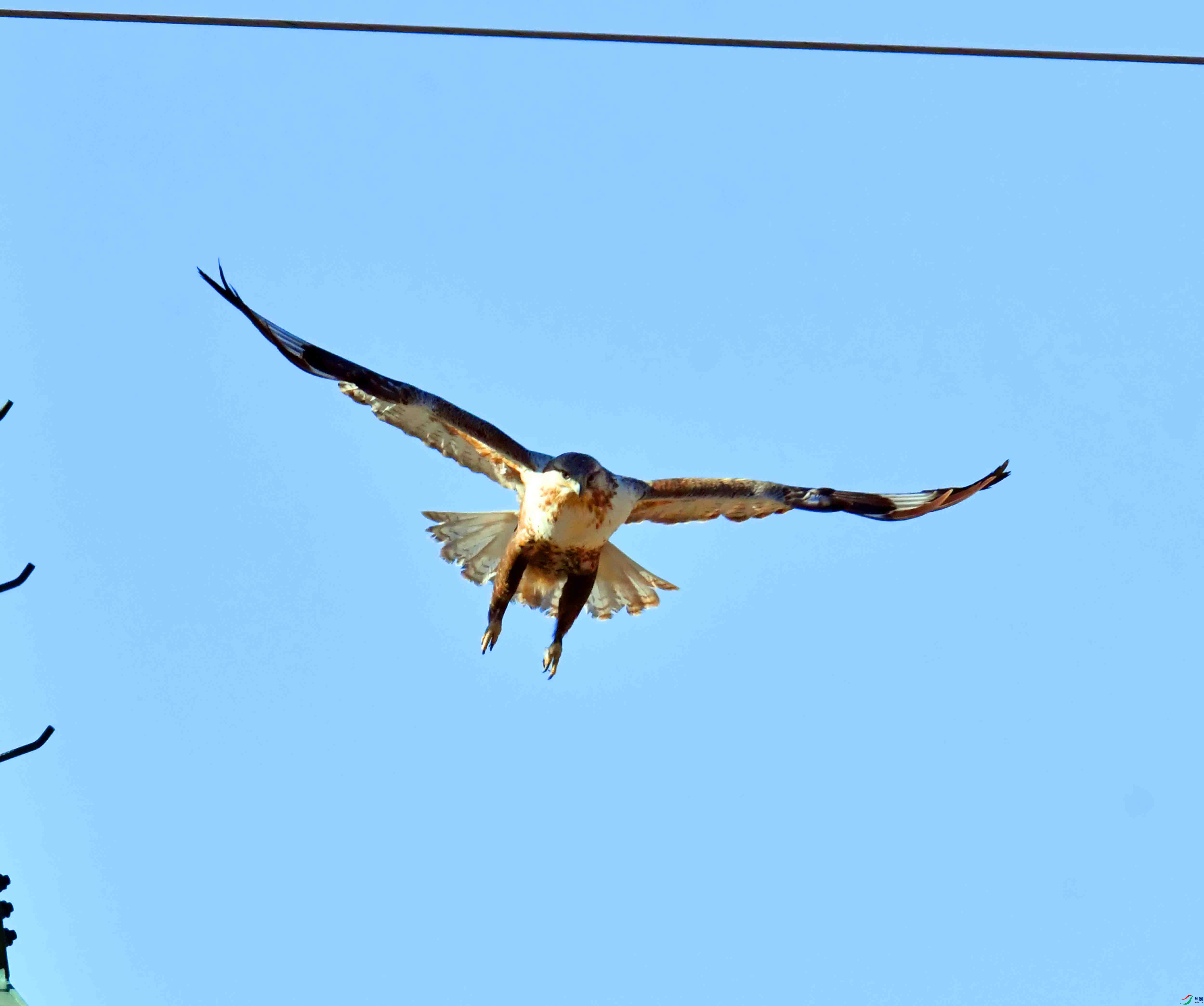 DSC_2996.JPG