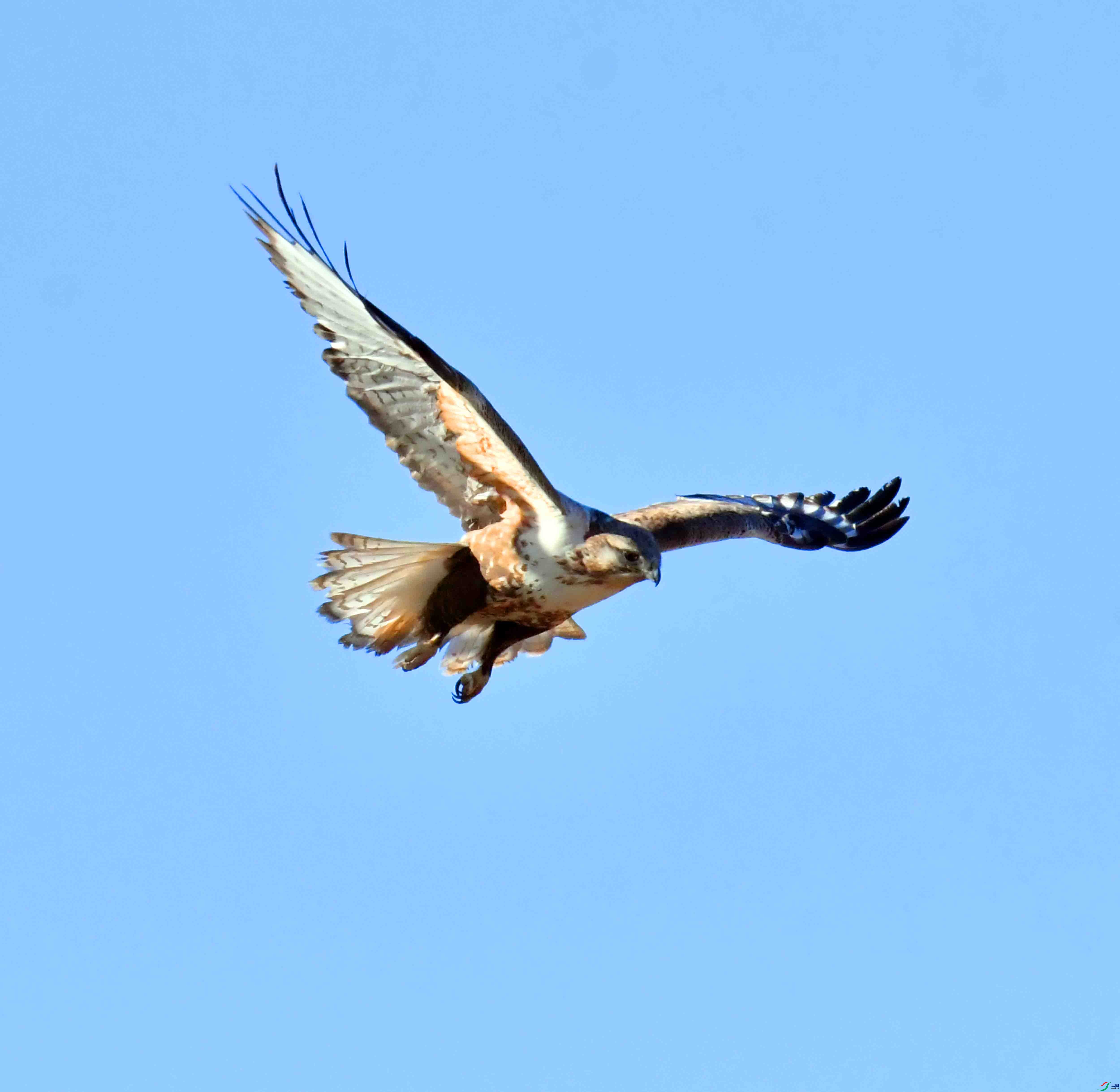 DSC_3001.JPG