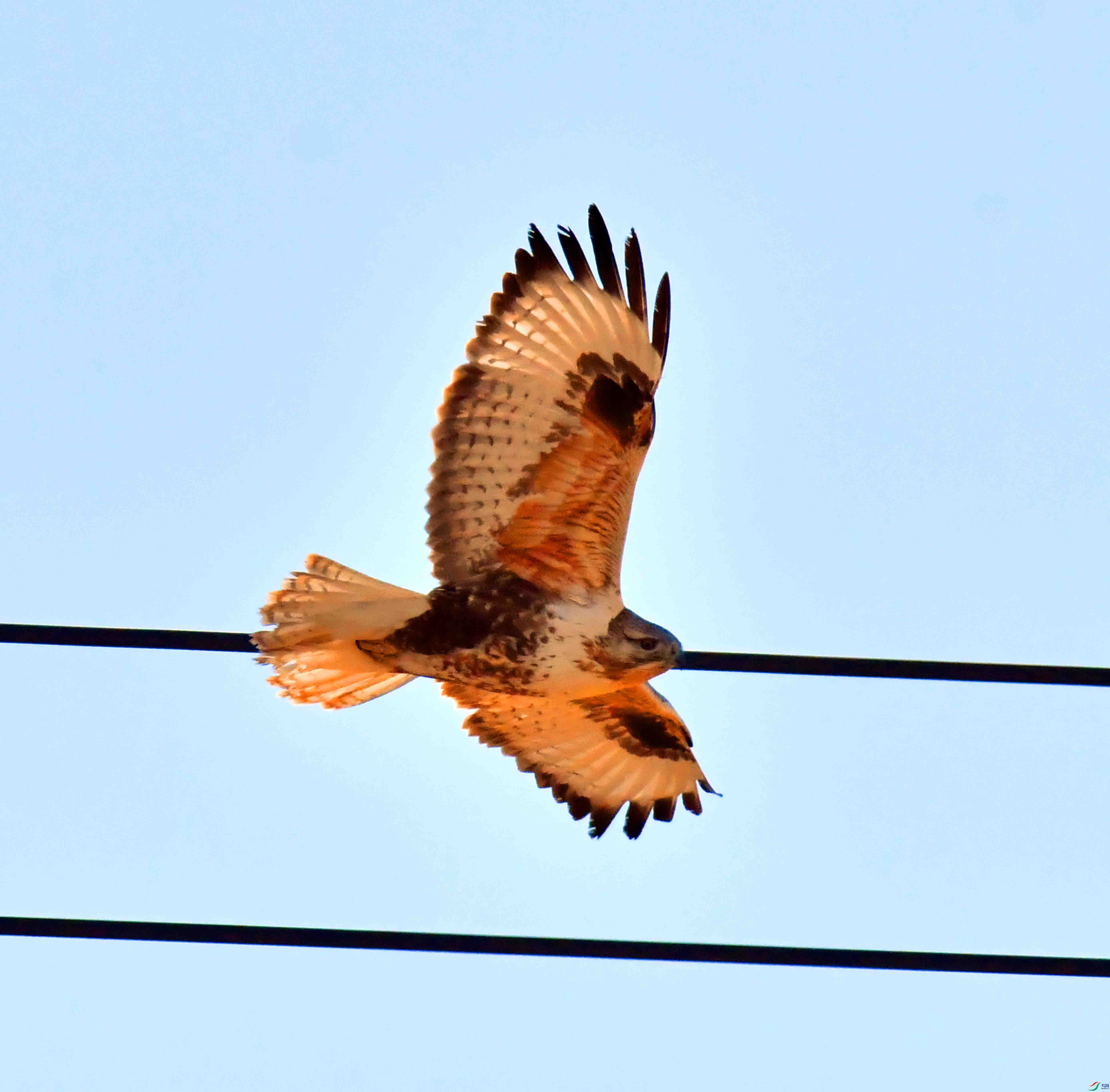 DSC_3005.JPG