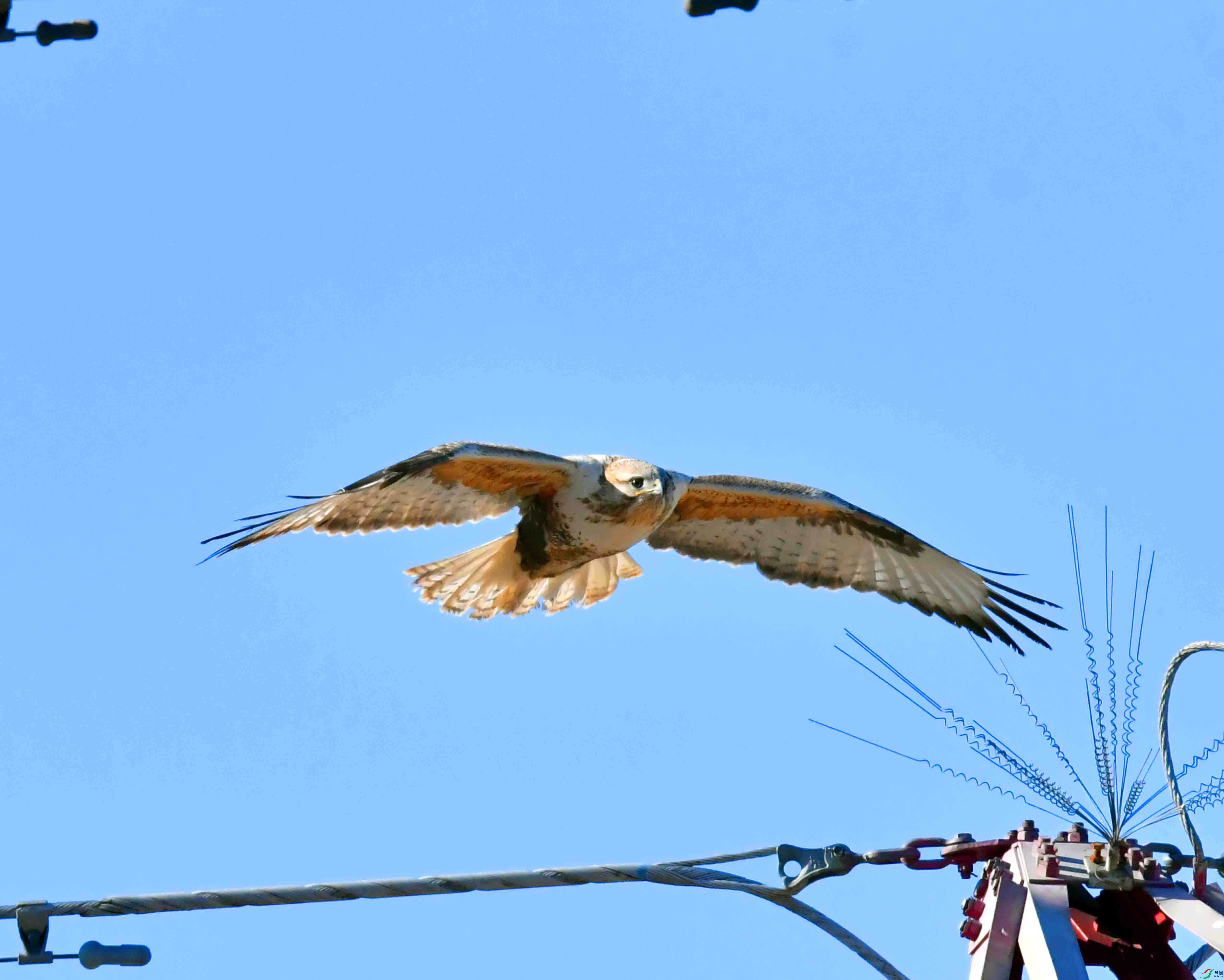 DSC_3007.JPG