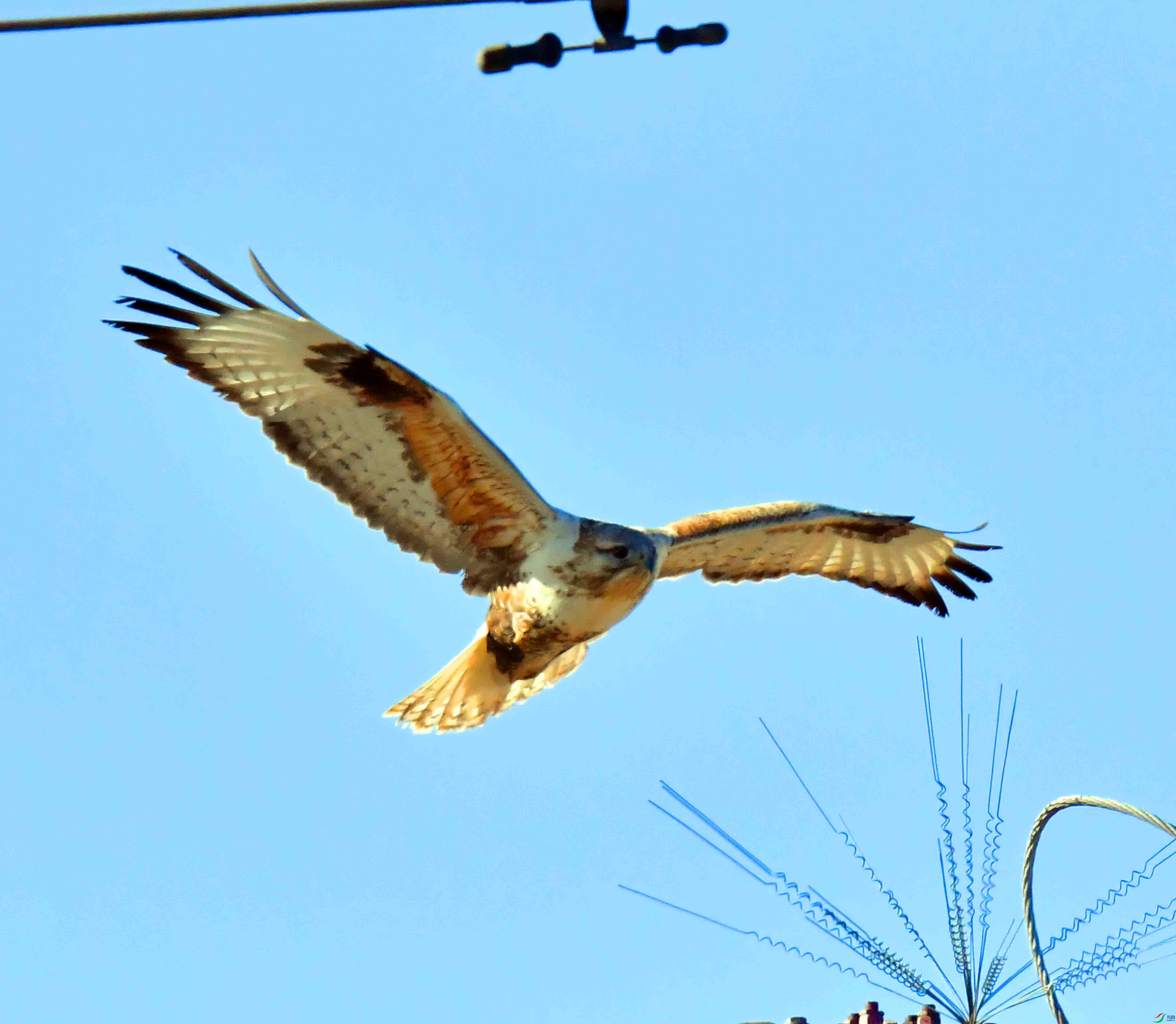 DSC_3009.JPG