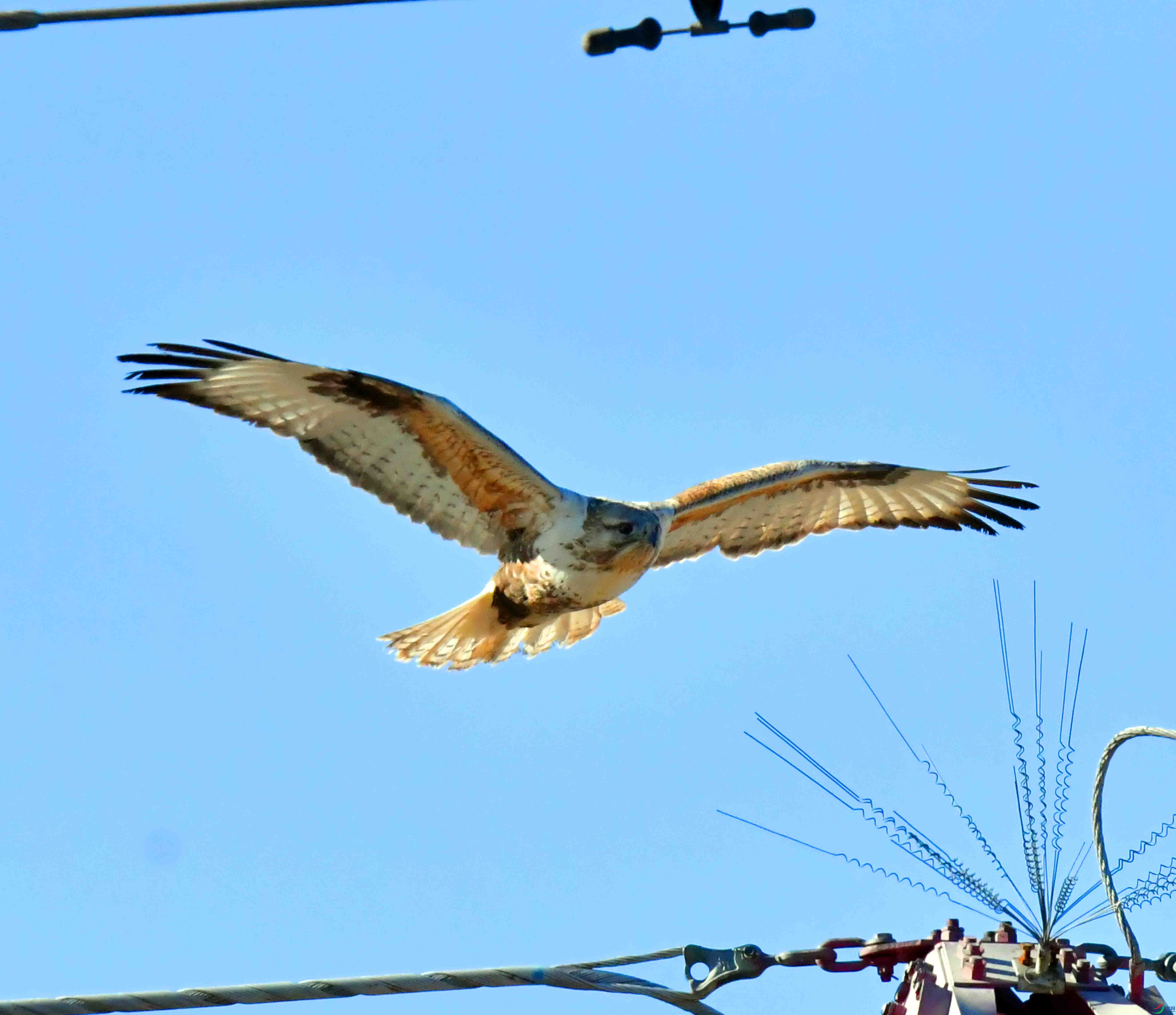 DSC_3008.JPG