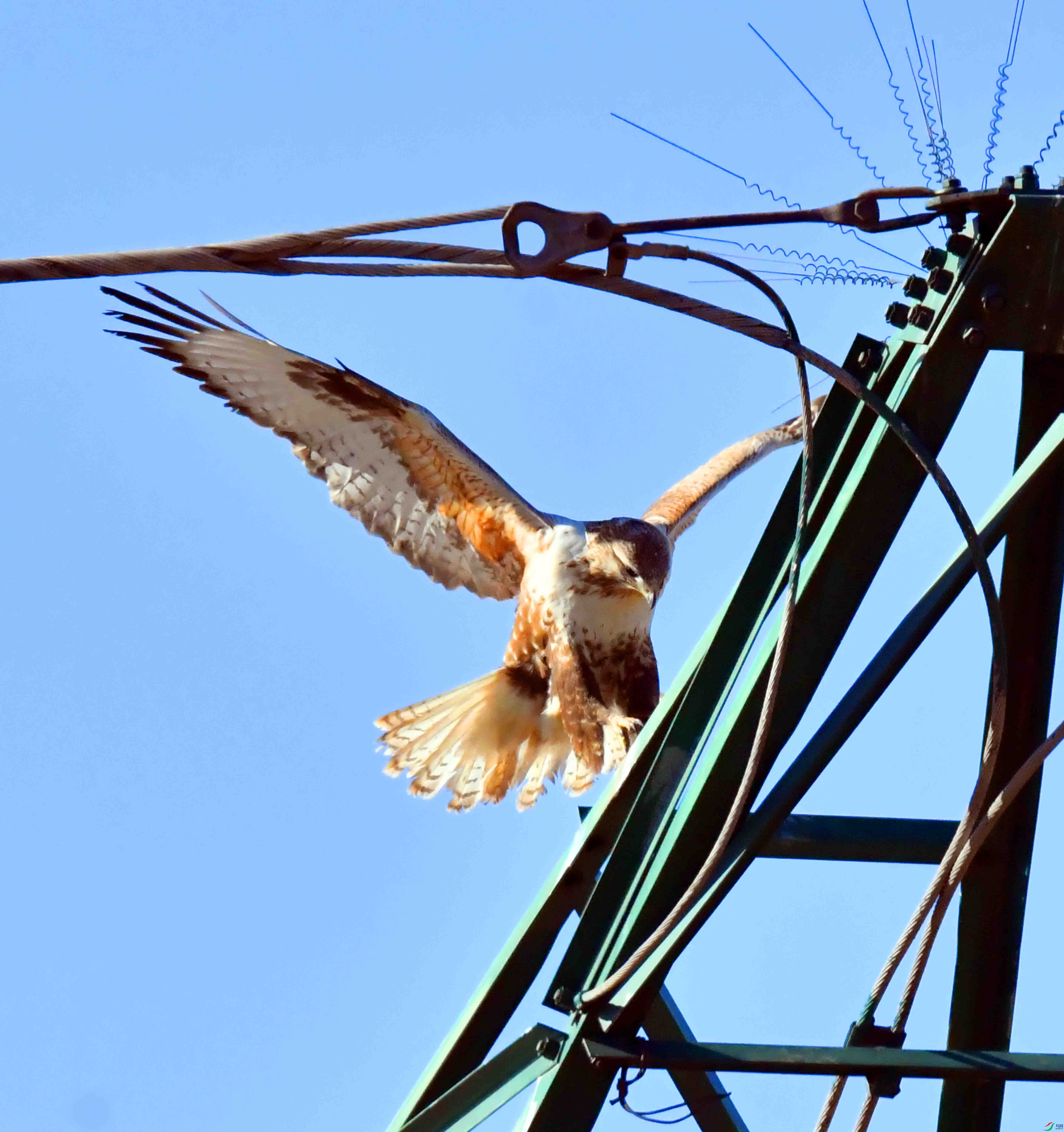 DSC_3015.JPG